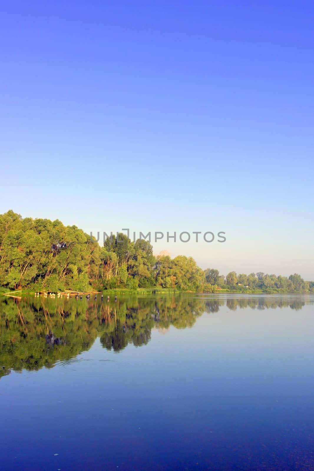 Beautiful summer landscape with river and forest