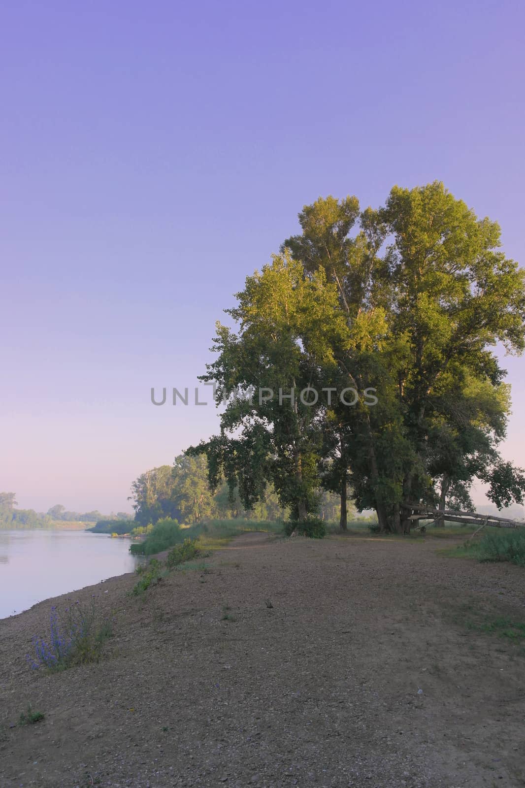 Beautiful summer landscape with river and forest