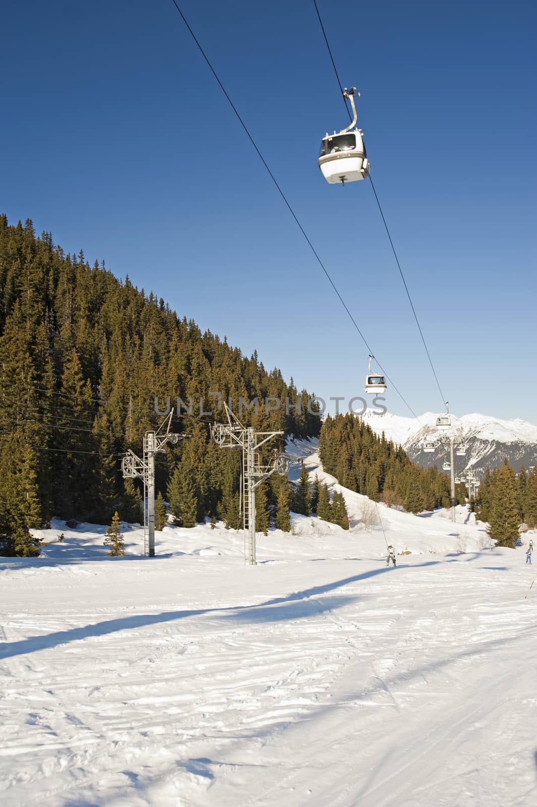 Cable car lift over a ski slope through the trees
