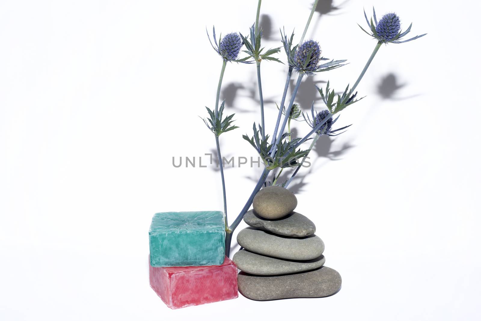 2 soaps and 5 stones and lavender branch by morrbyte
