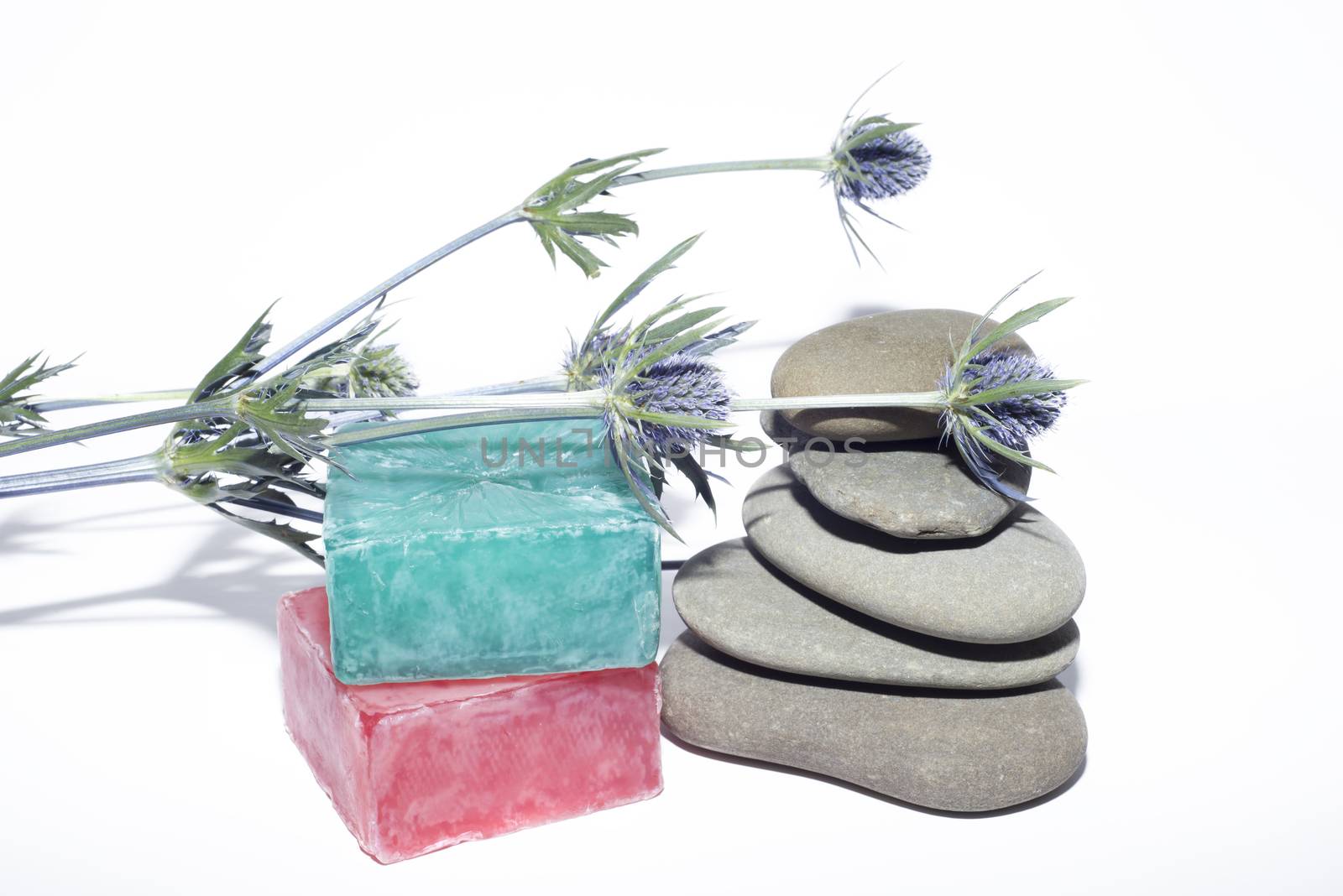 2 soaps and 5 stones and lavender twig by morrbyte