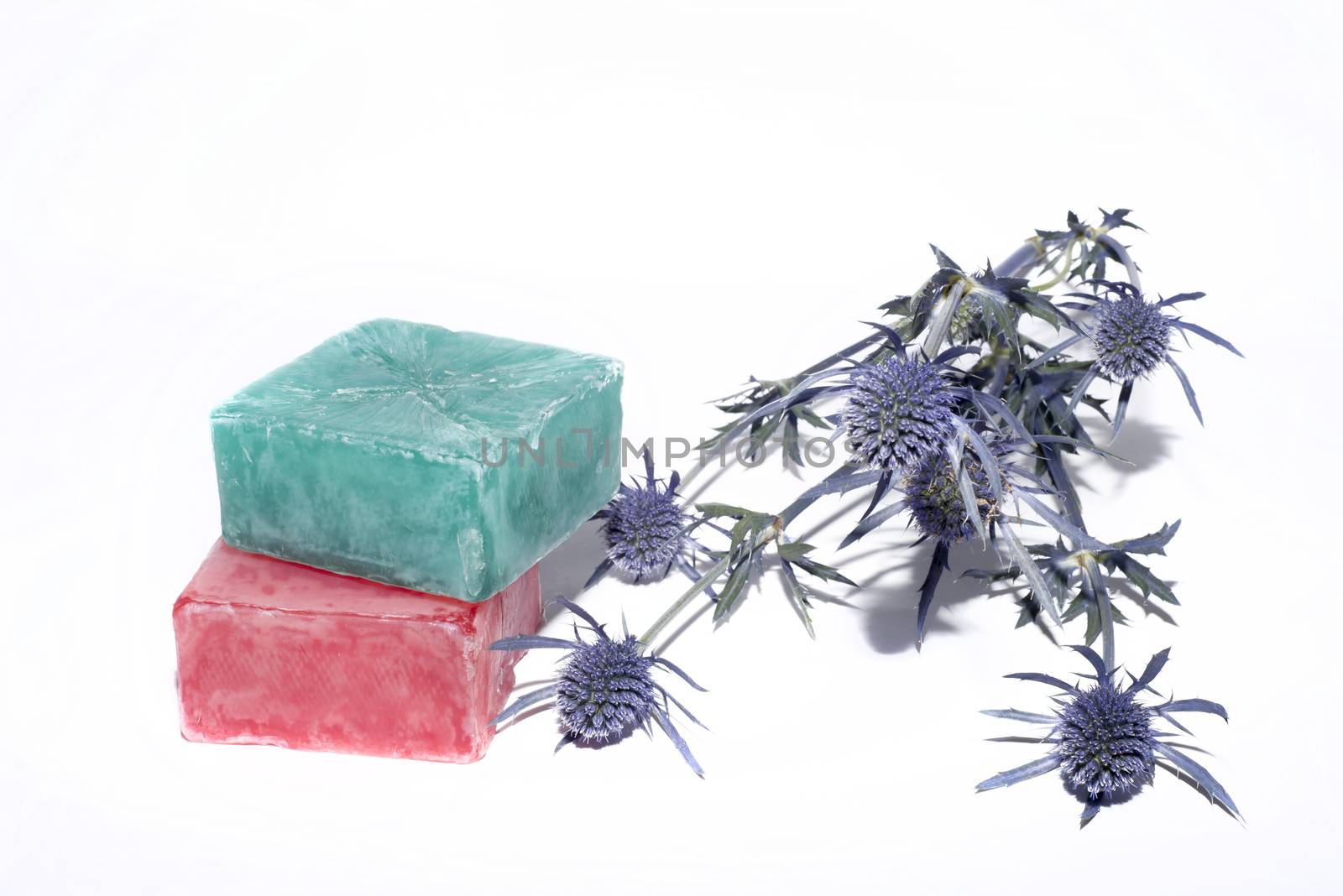 soaps off various shades with a beautiful lavender flower