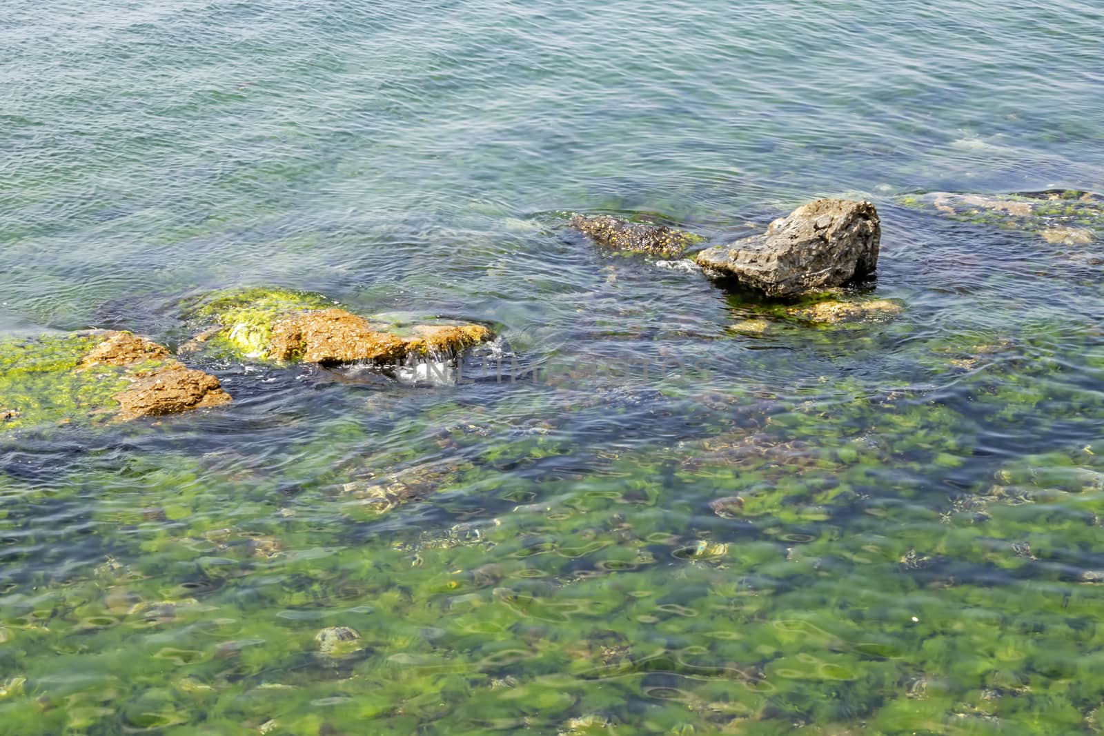 sea water and rocks in nature