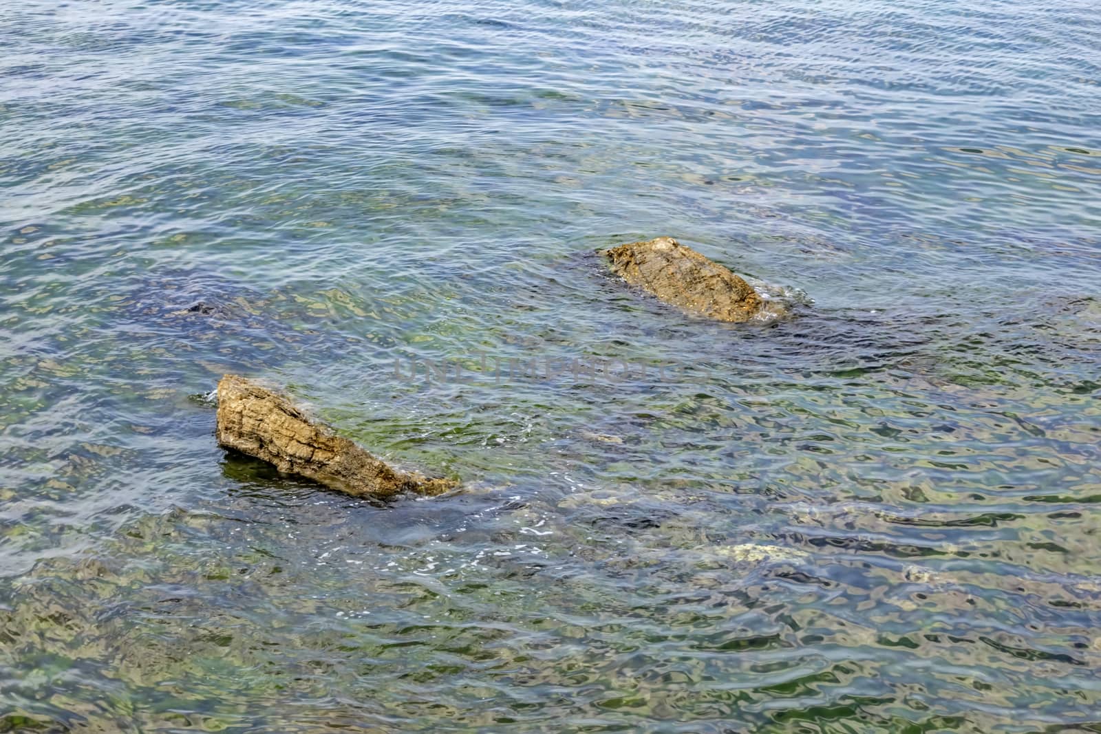 sea water and rocks in nature