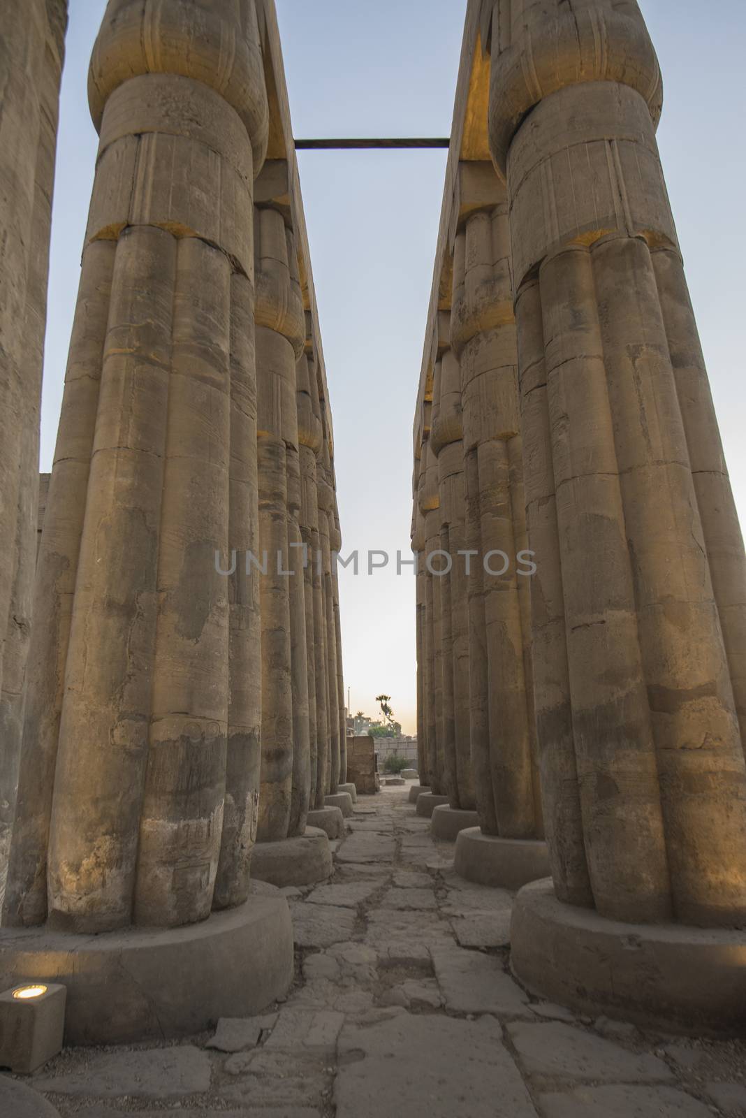 Columns with hieroglyphic carvings in ancient egyptian Luxor Temple in the evening