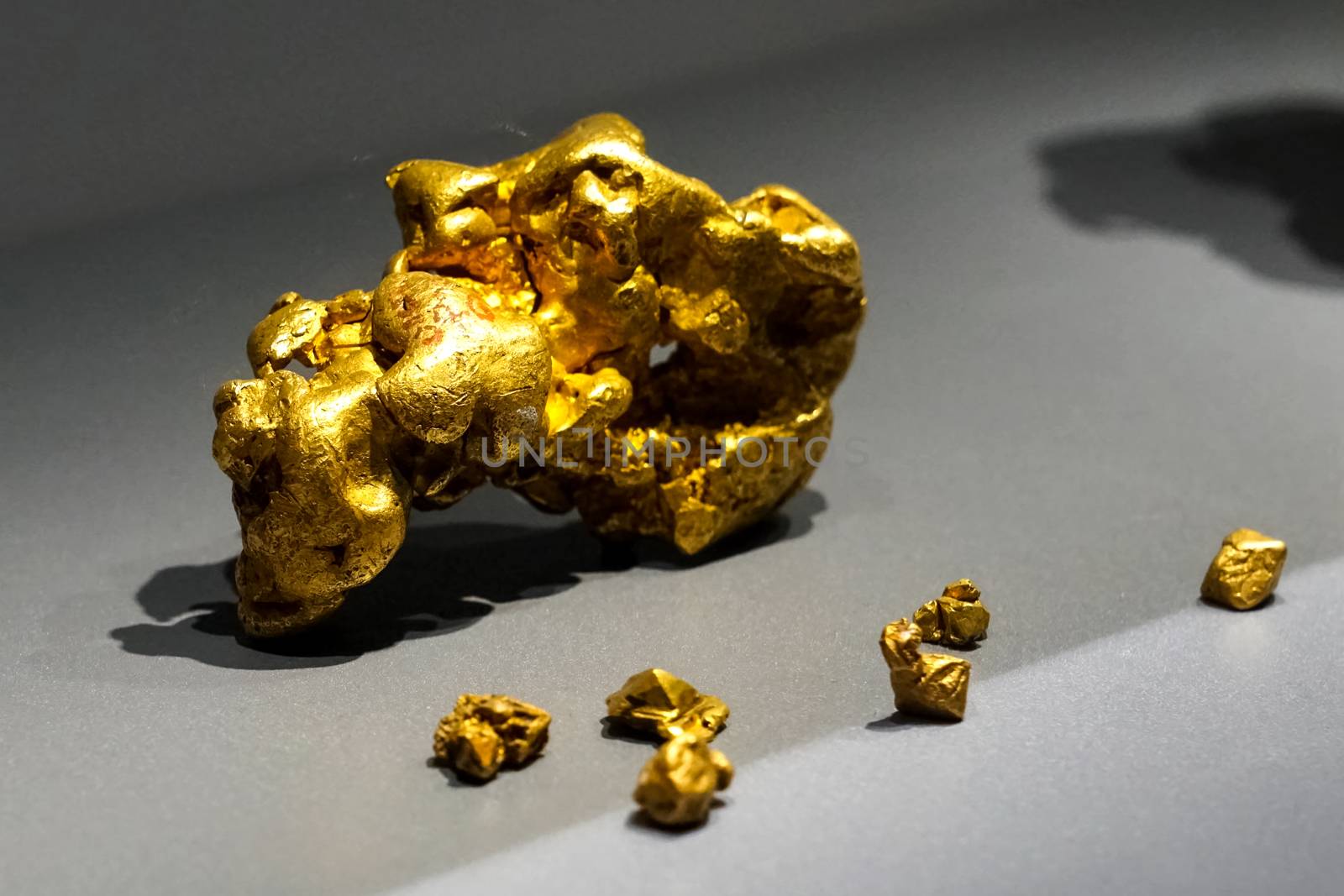 Golden nuggets in the museum. Gold in nuggets.