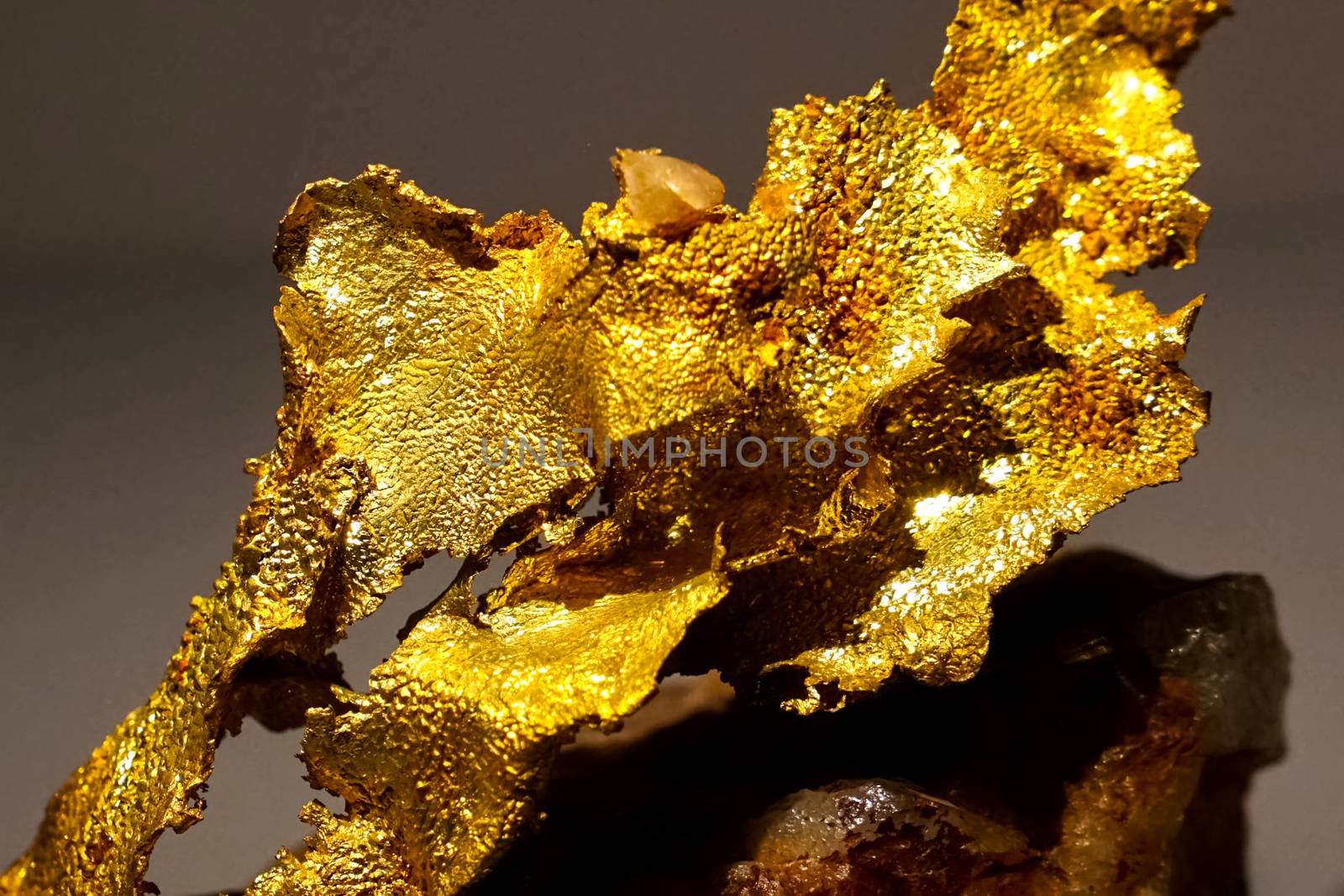 Golden nuggets in museum. Gold in nuggets. by DePo