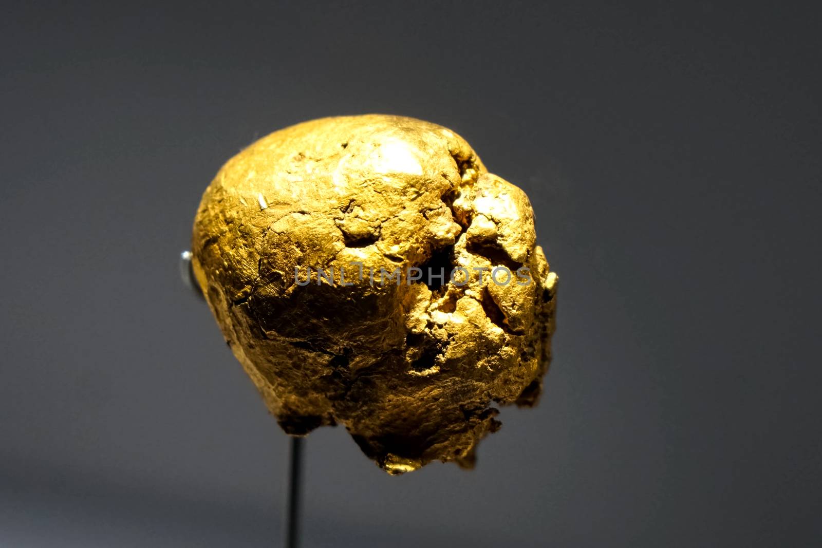 Golden nuggets in museum. Gold in nuggets. by DePo