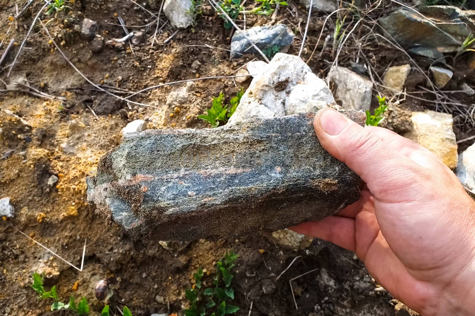 rock stone containing gold. A man's hand and a stone.