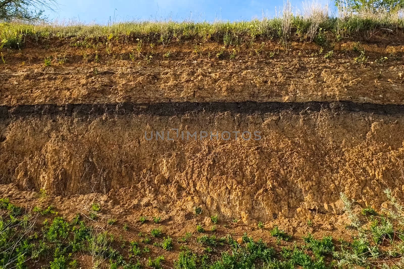 Soil slice in a quarry. Visible soil layers. Traces of sedimentation. by DePo