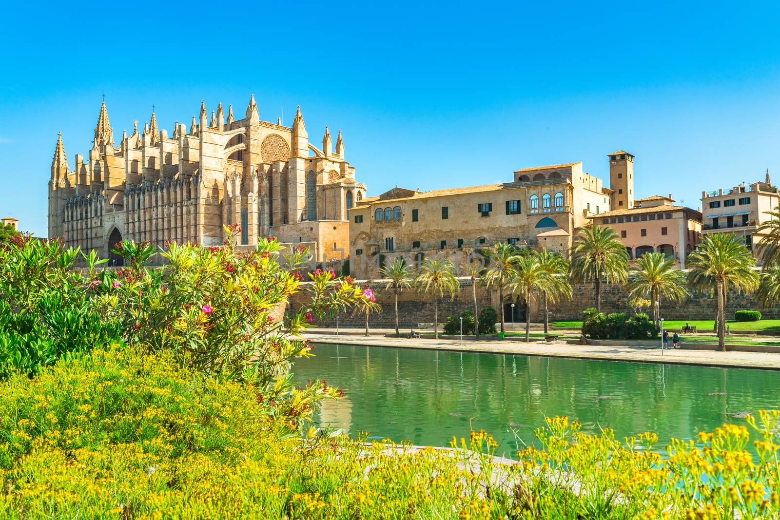 View of Cathedral La Seu with Parc de la Mar at the old town of Palma de Mallorca, Spain