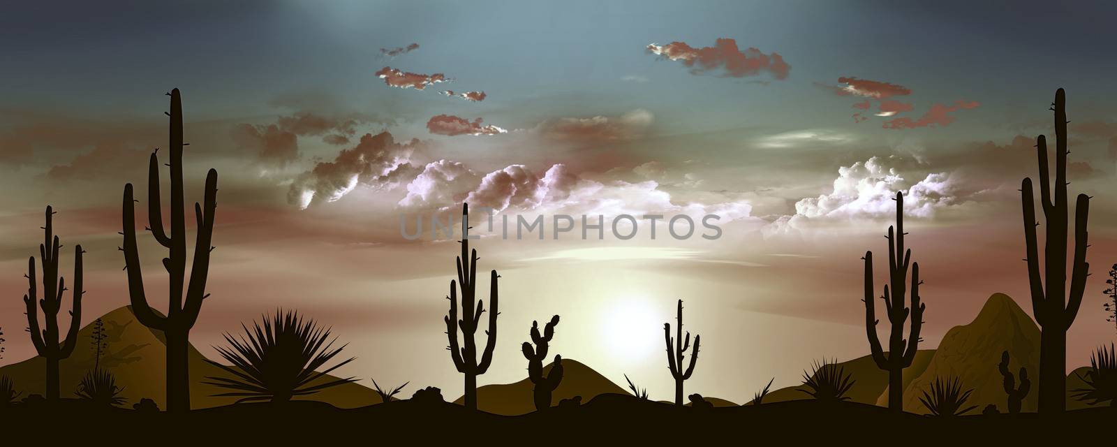 Sunset in the Mexican desert. Sun and clouds. Silhouettes of stones, cacti and plants. Evening landscape with cacti. Stony desert.