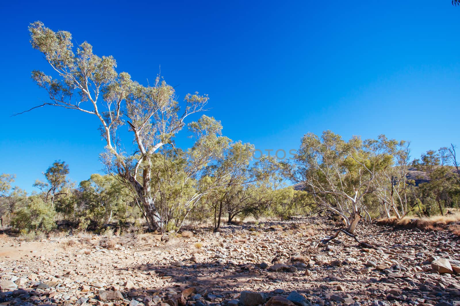 Walking path on the way to Serpentine Gorge Lookout on a clear winter's day near Alice Springs, Northern Territory, Australia