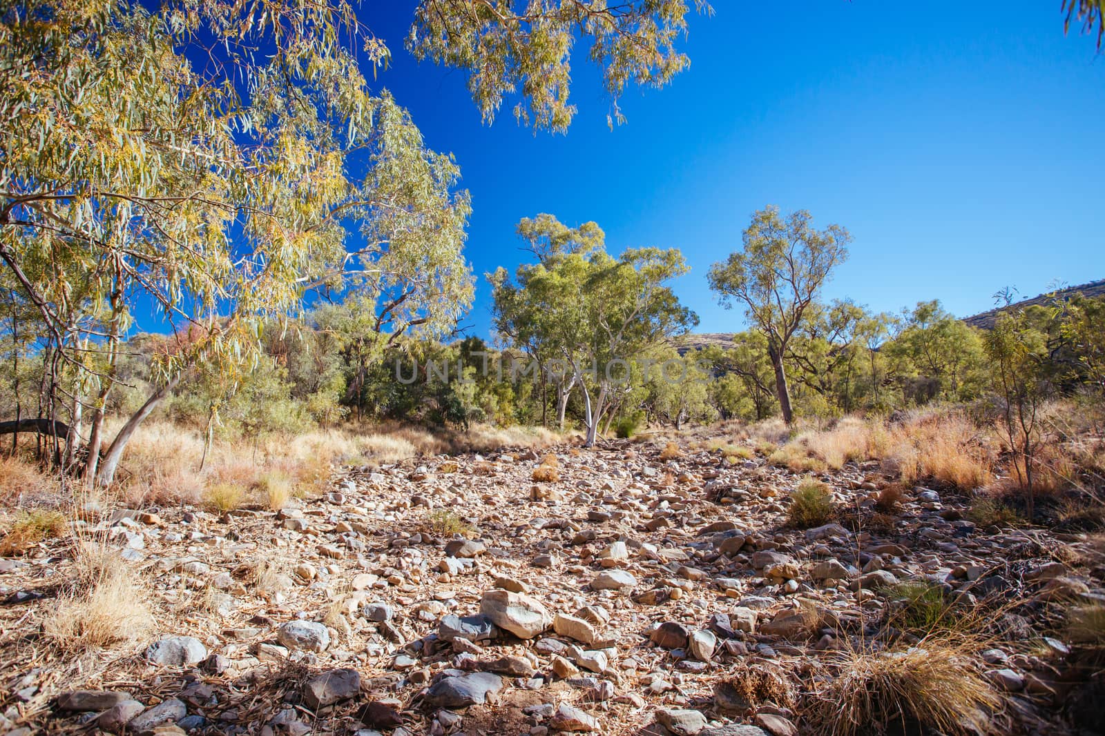 Walking path on the way to Serpentine Gorge Lookout on a clear winter's day near Alice Springs, Northern Territory, Australia