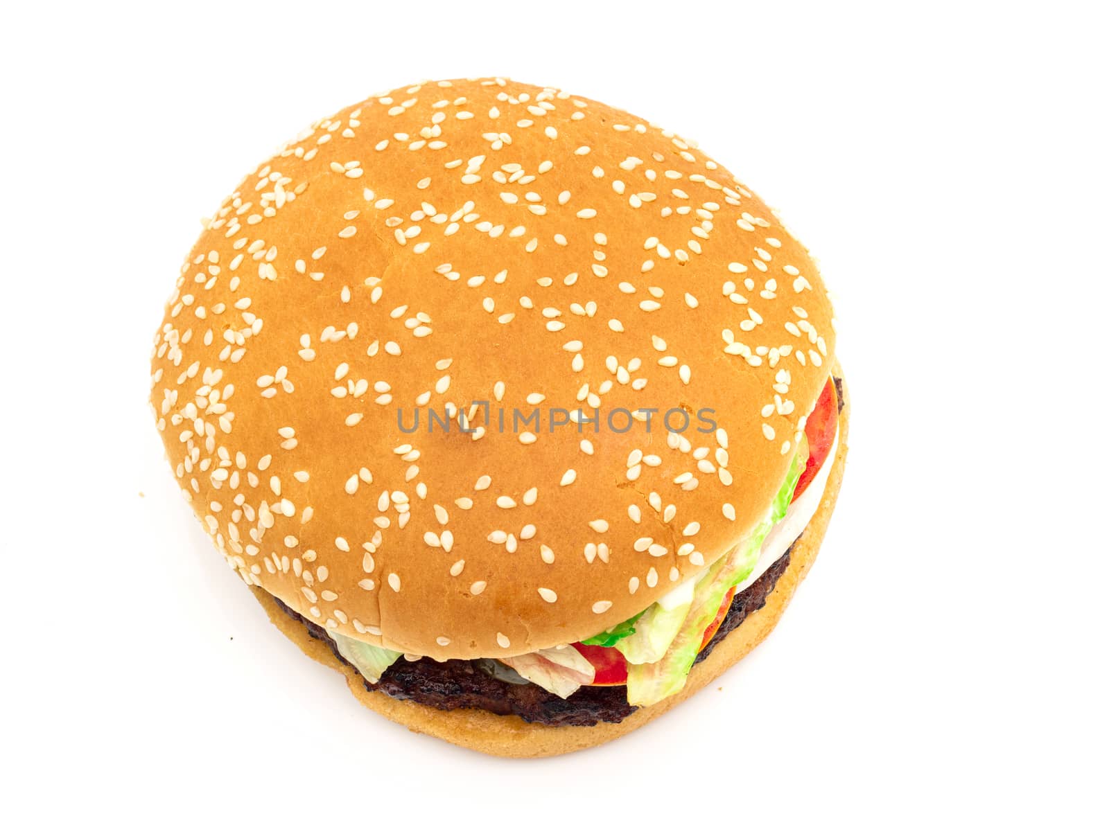 Hamburger meat and vegetables on white background