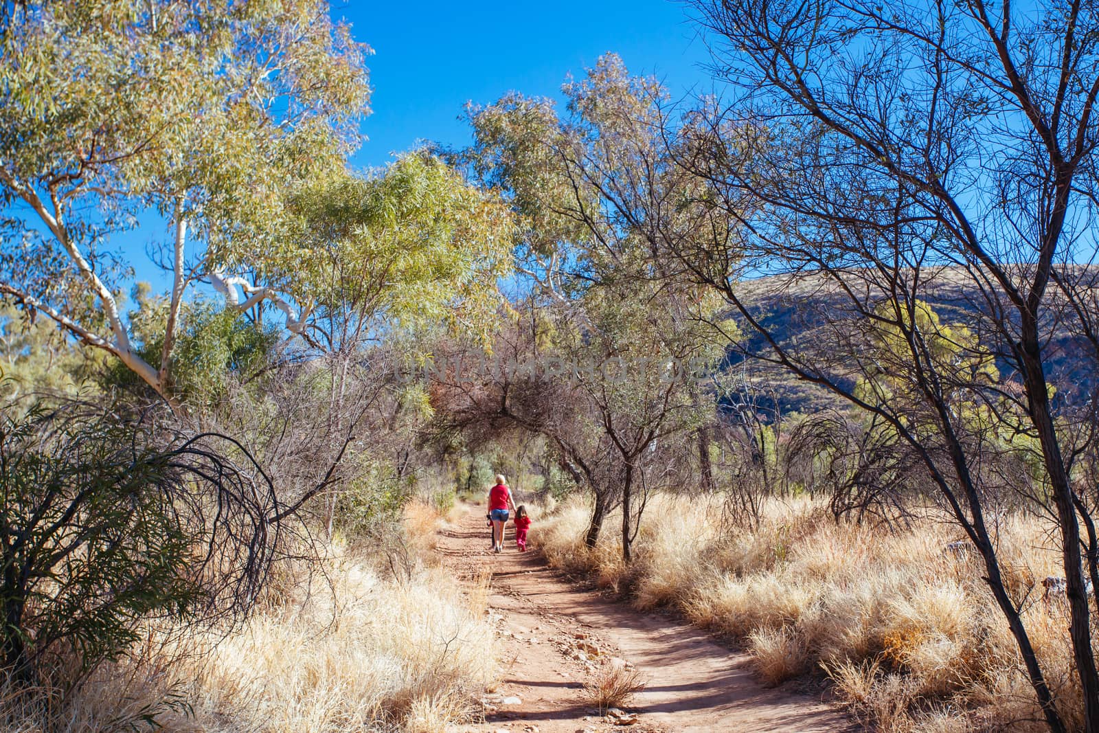 Serpentine Gorge Northern Territory Australia by FiledIMAGE