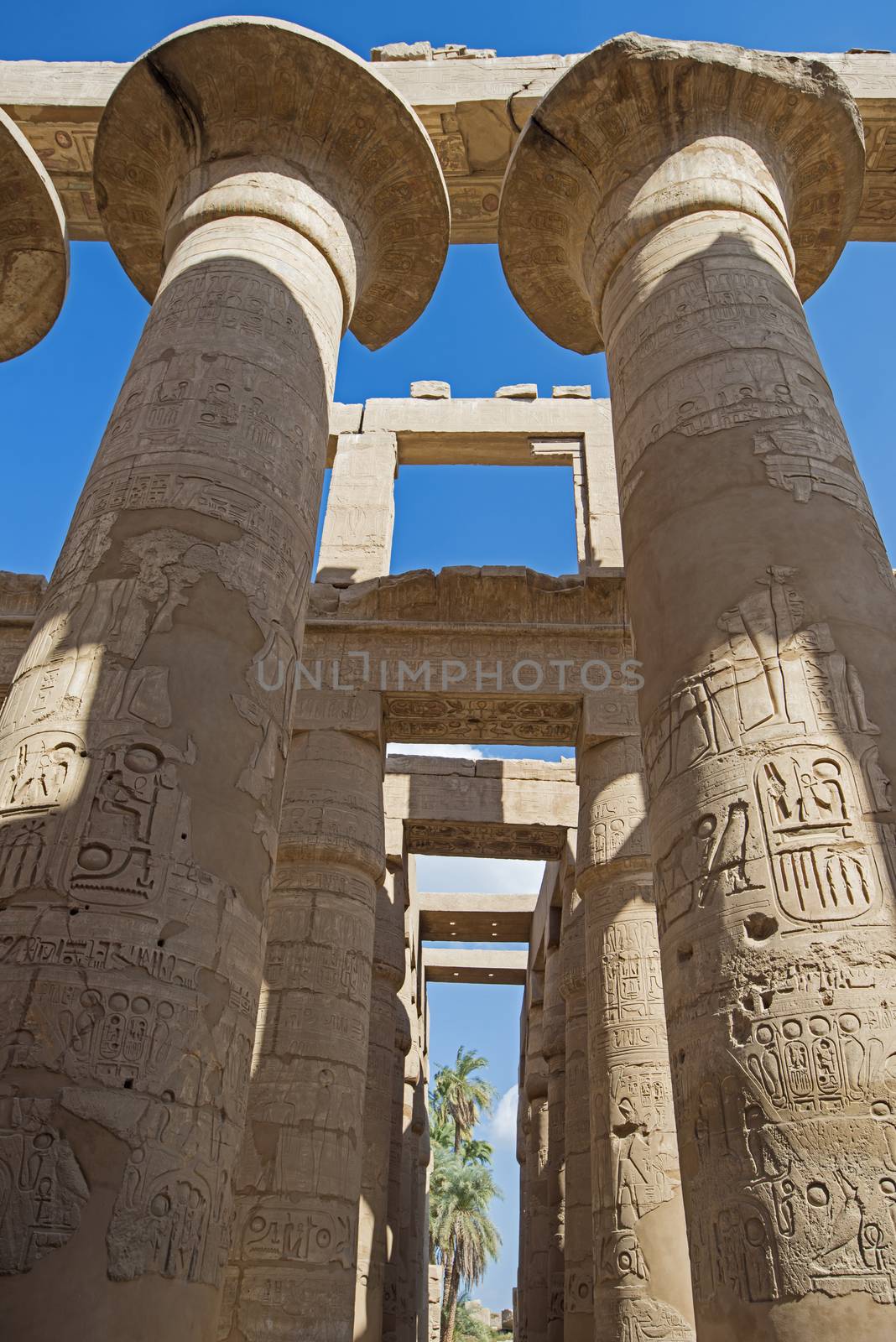 Columns with hieroglyphic carvings and paintings in hypostyle hall at anciant egyptian Karnak Temple in Luxor