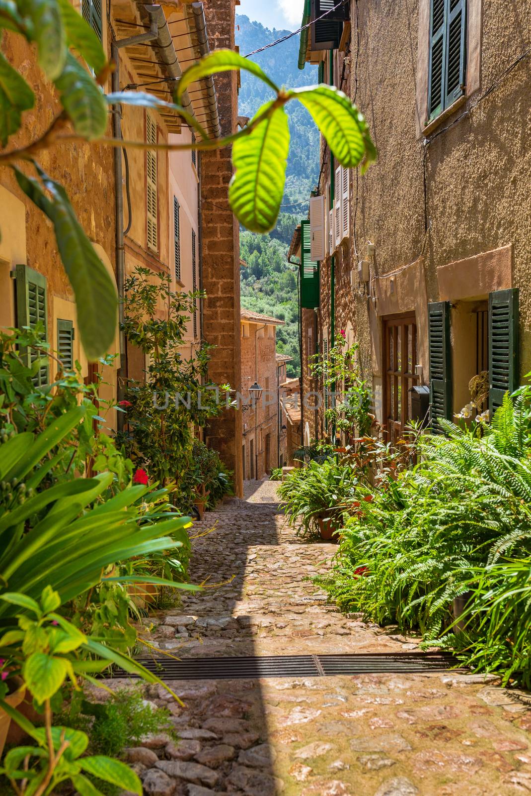 Idyllic narrow alley with potted flower plants at mediterranean village Fornalutx, Majorca Spain by Vulcano