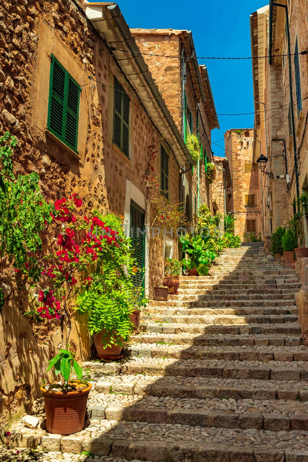 Plant street in old village Fornalutx, Majorca Spain by Vulcano