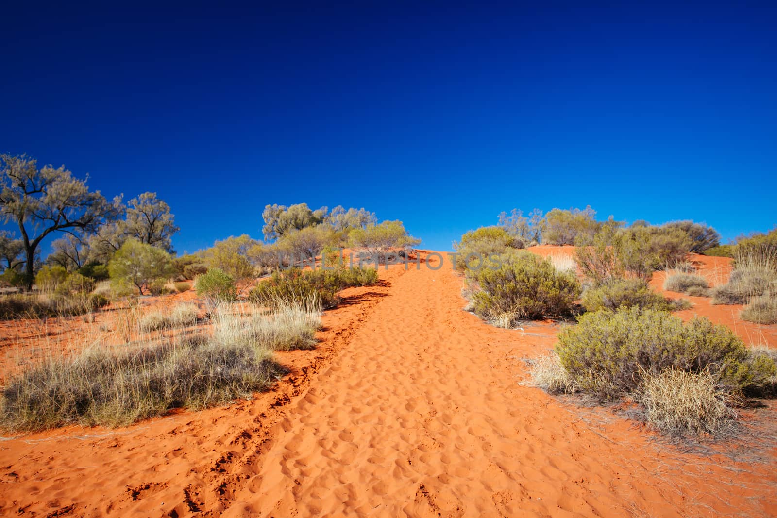 Outback Landscape in Northern Territory Australia by FiledIMAGE