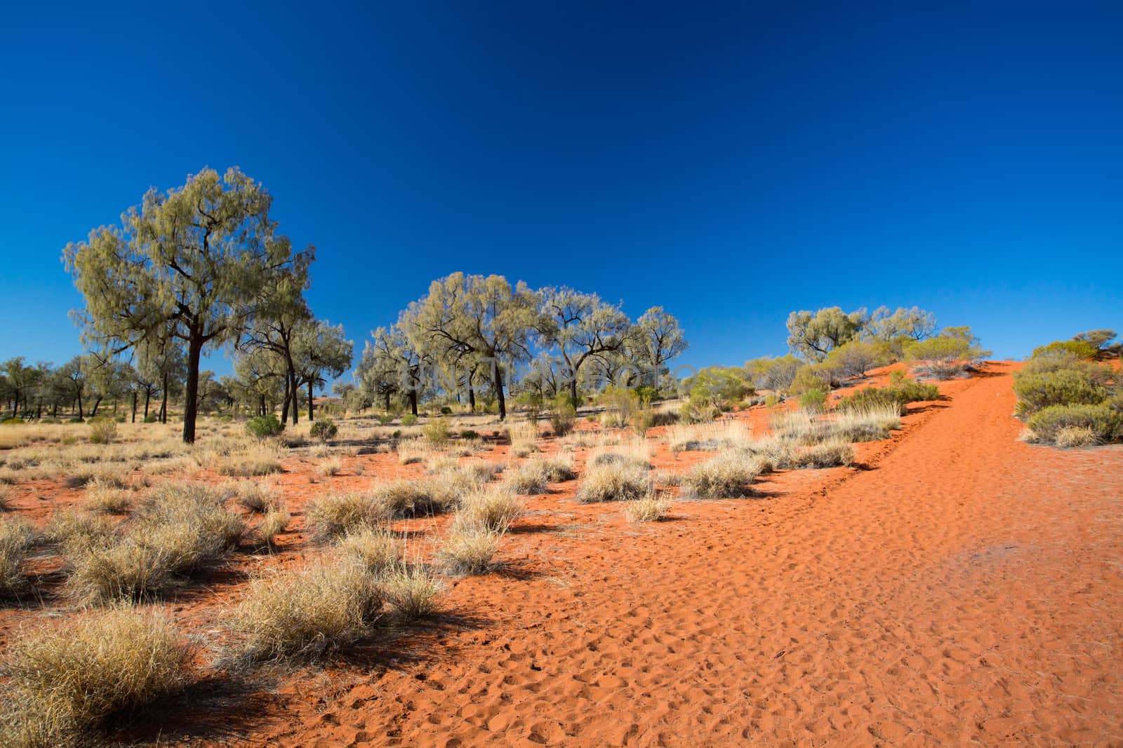 Outback landscape and red sand near Kings Canyon in the Northern Territory, Australia