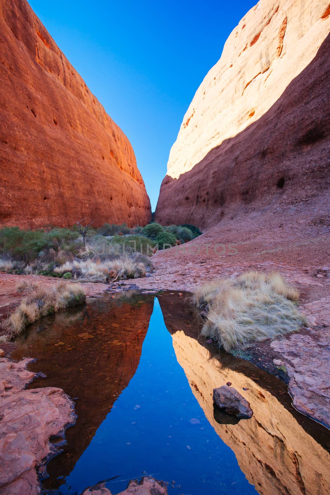 Walpa Gorge at The Olgas on a clear winter's day in the Northern Territory in Australia