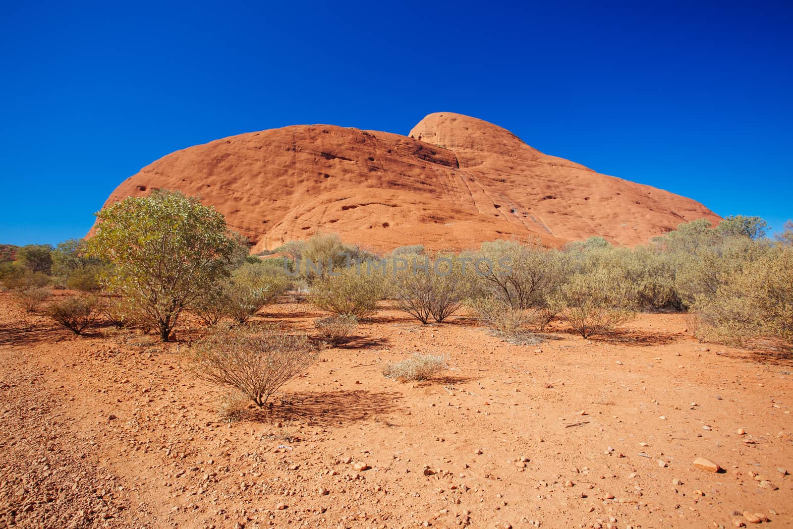 The Olgas (Kata-Tjuta) near the Valley of the Winds walk in the Northern Territory, Australia