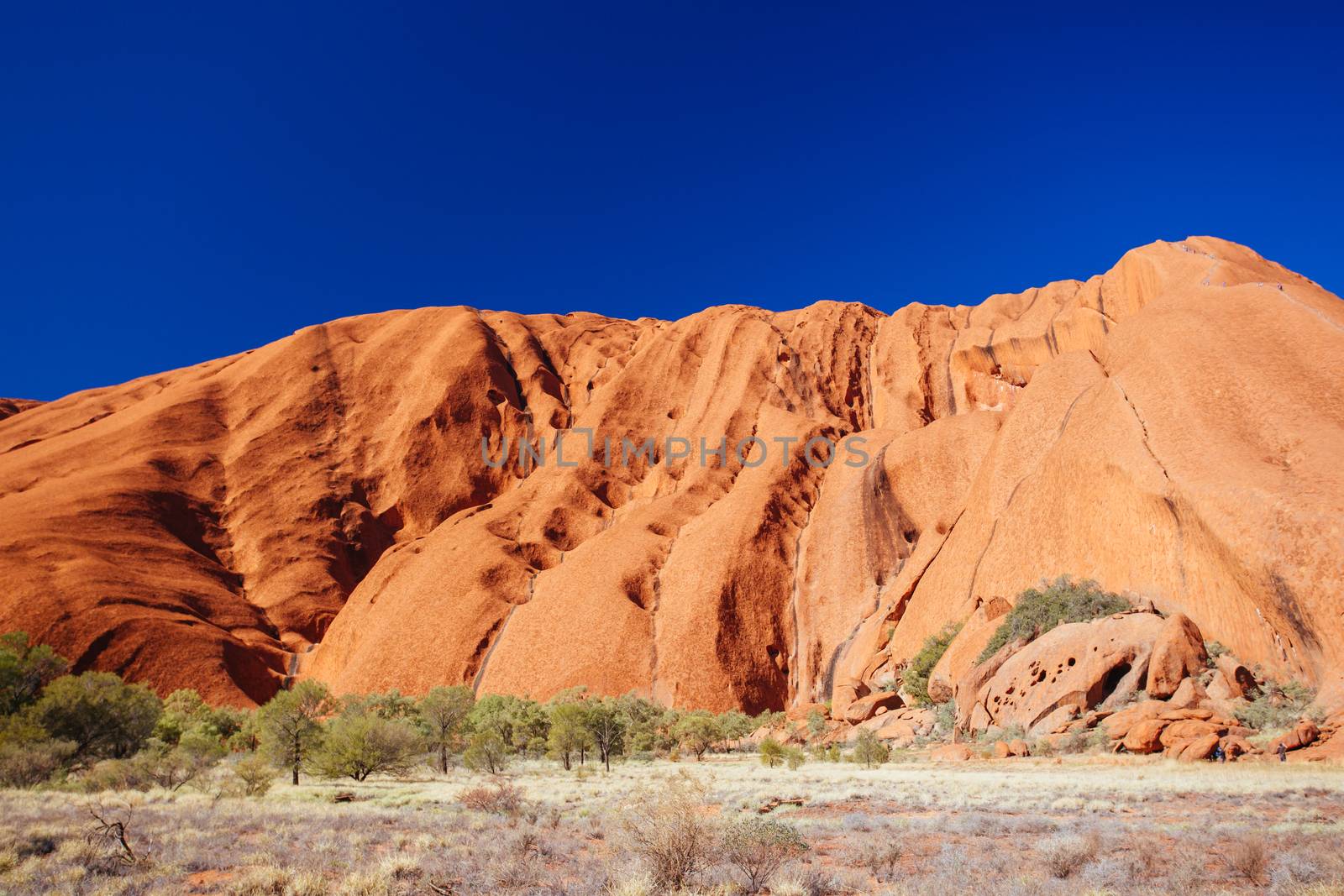 Uluru rock detail with surrounding vegetation on a clear winter's morning in the Northern Territory, Australia