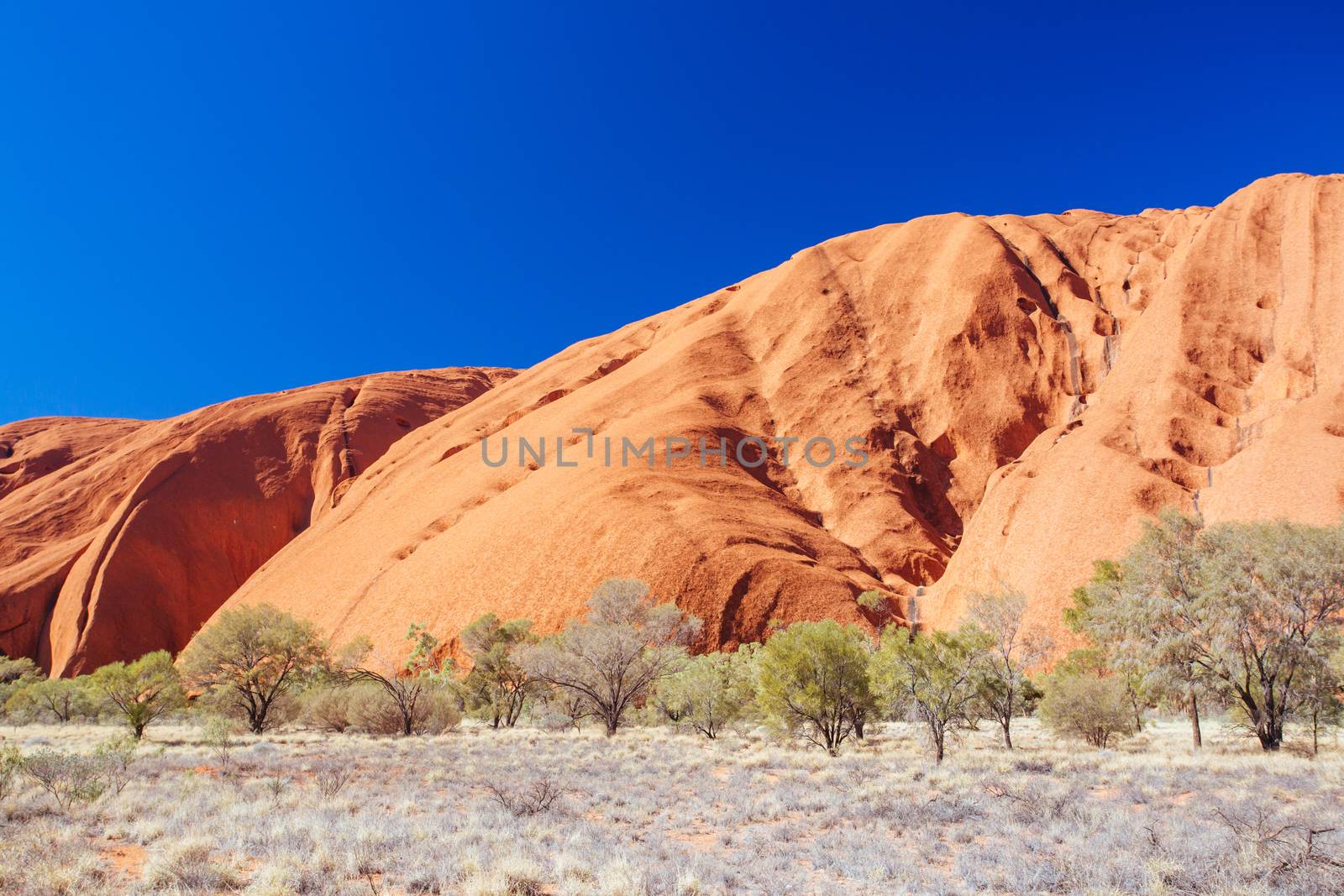 Uluru rock detail with surrounding vegetation on a clear winter's morning in the Northern Territory, Australia