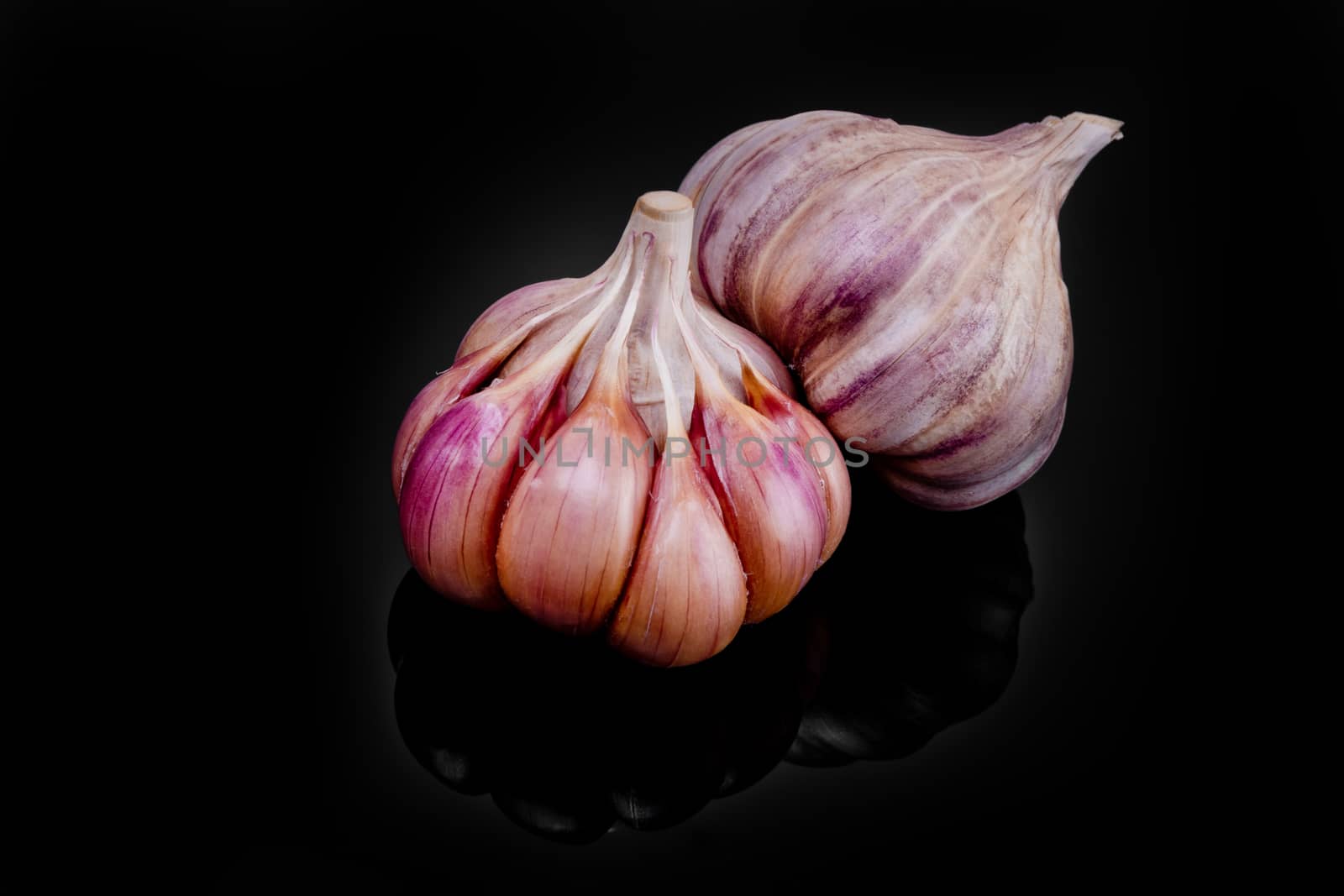 Fresh garlic bulbs on a black background.