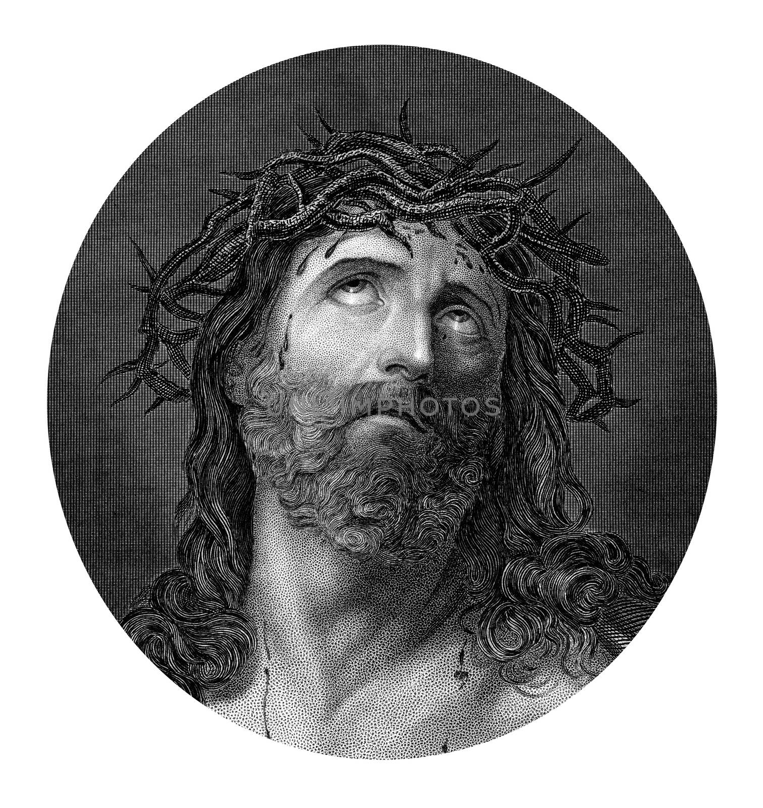 An engraved illustration drawing portrait of  the Crucifixion of Jesus Christ wearing the crown of thorns, from a Bible dated 1852 that is no longer in copyright