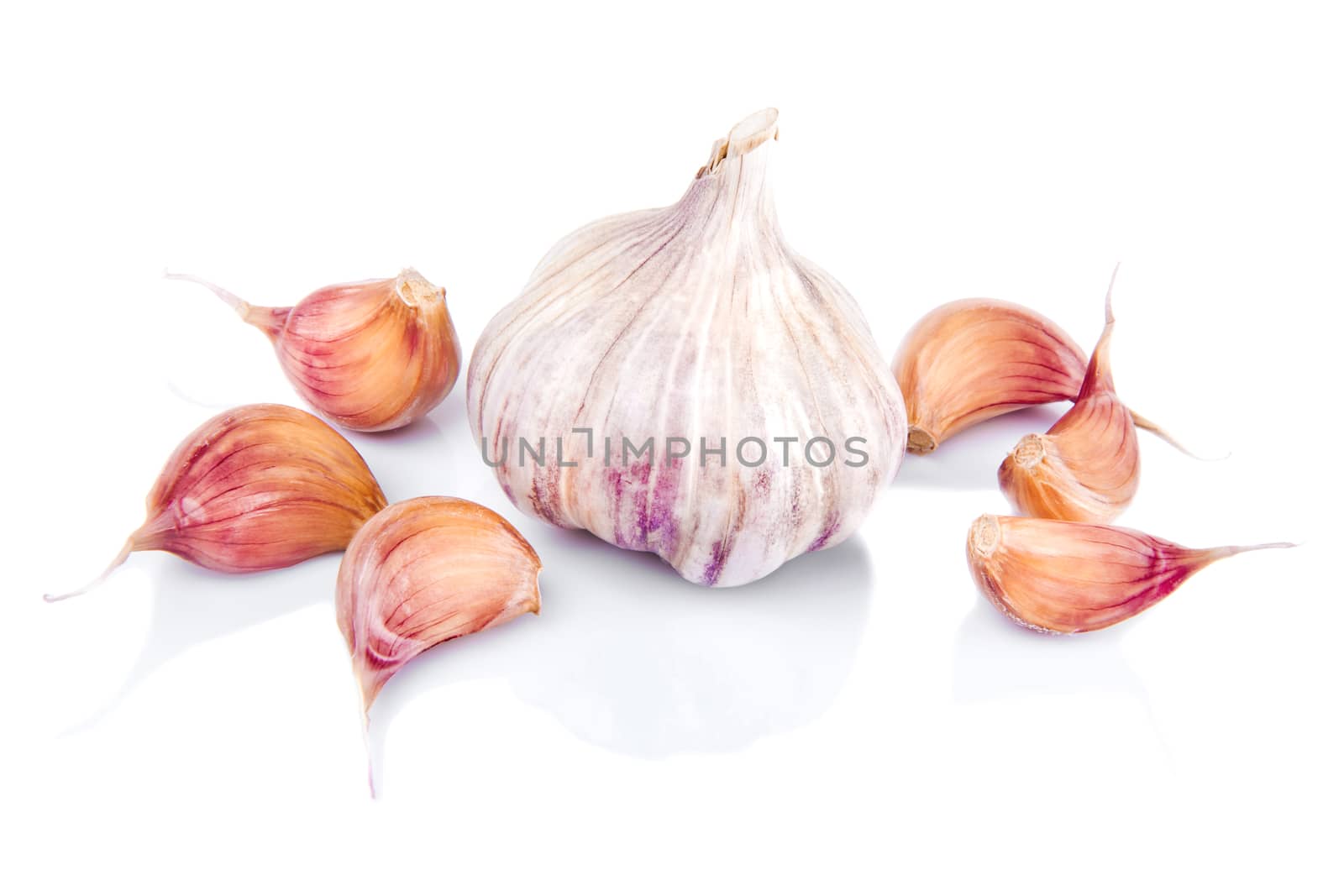 Garlic isolated on white background with reflection. by leonik