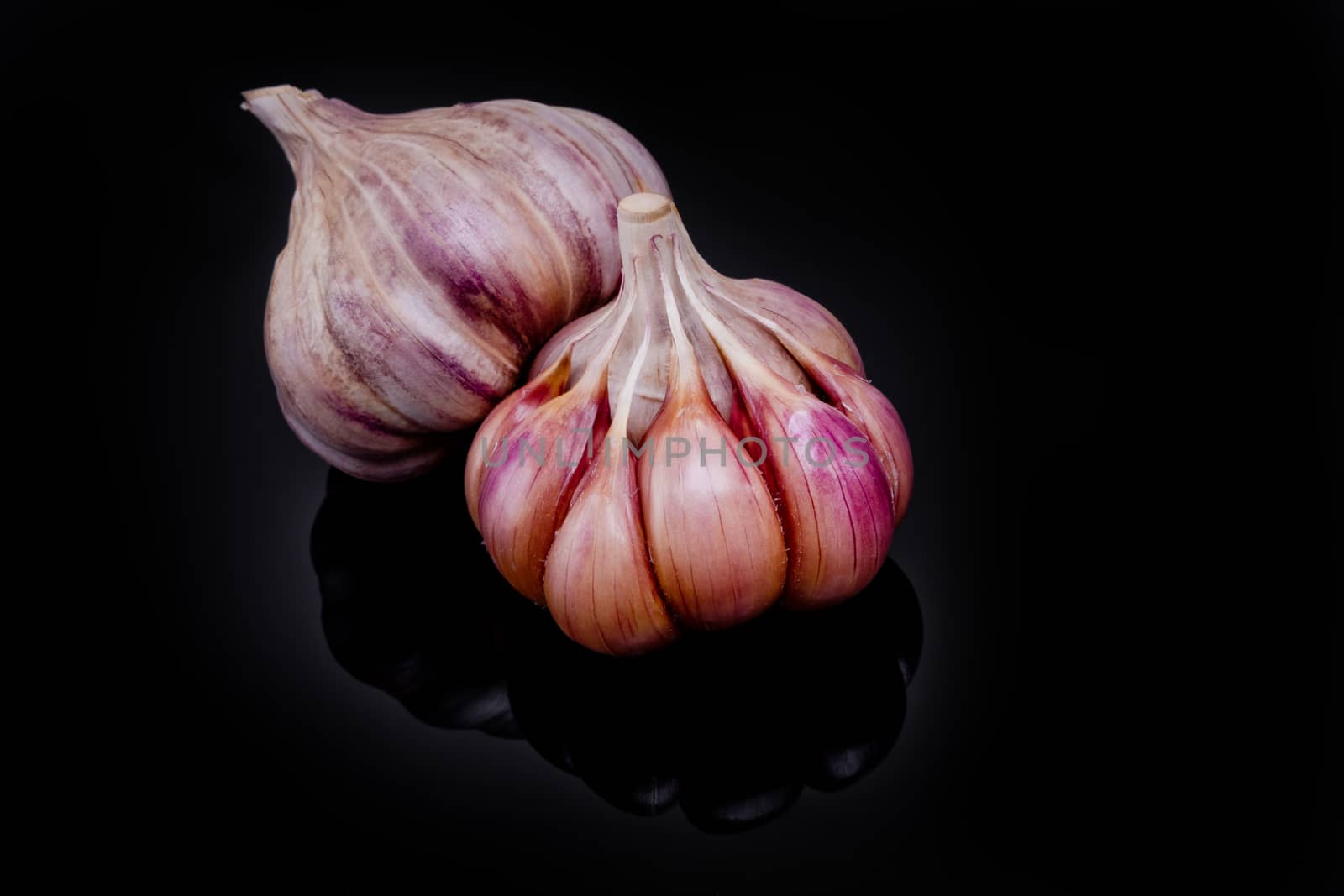 Fresh garlic bulbs on a black background.