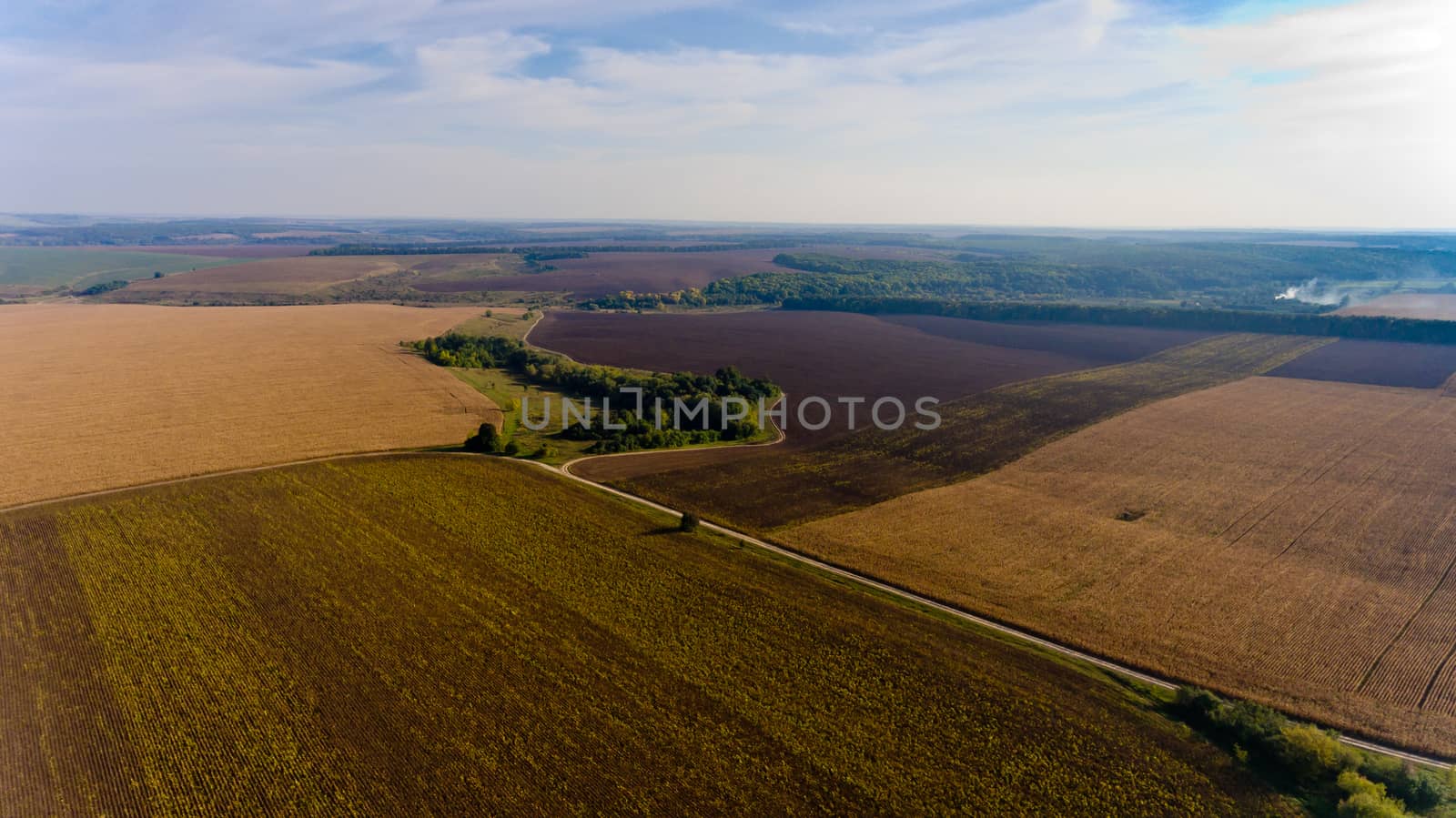 Beautiful view of agricultural fields and blue sky with white clouds. Aerial view.
