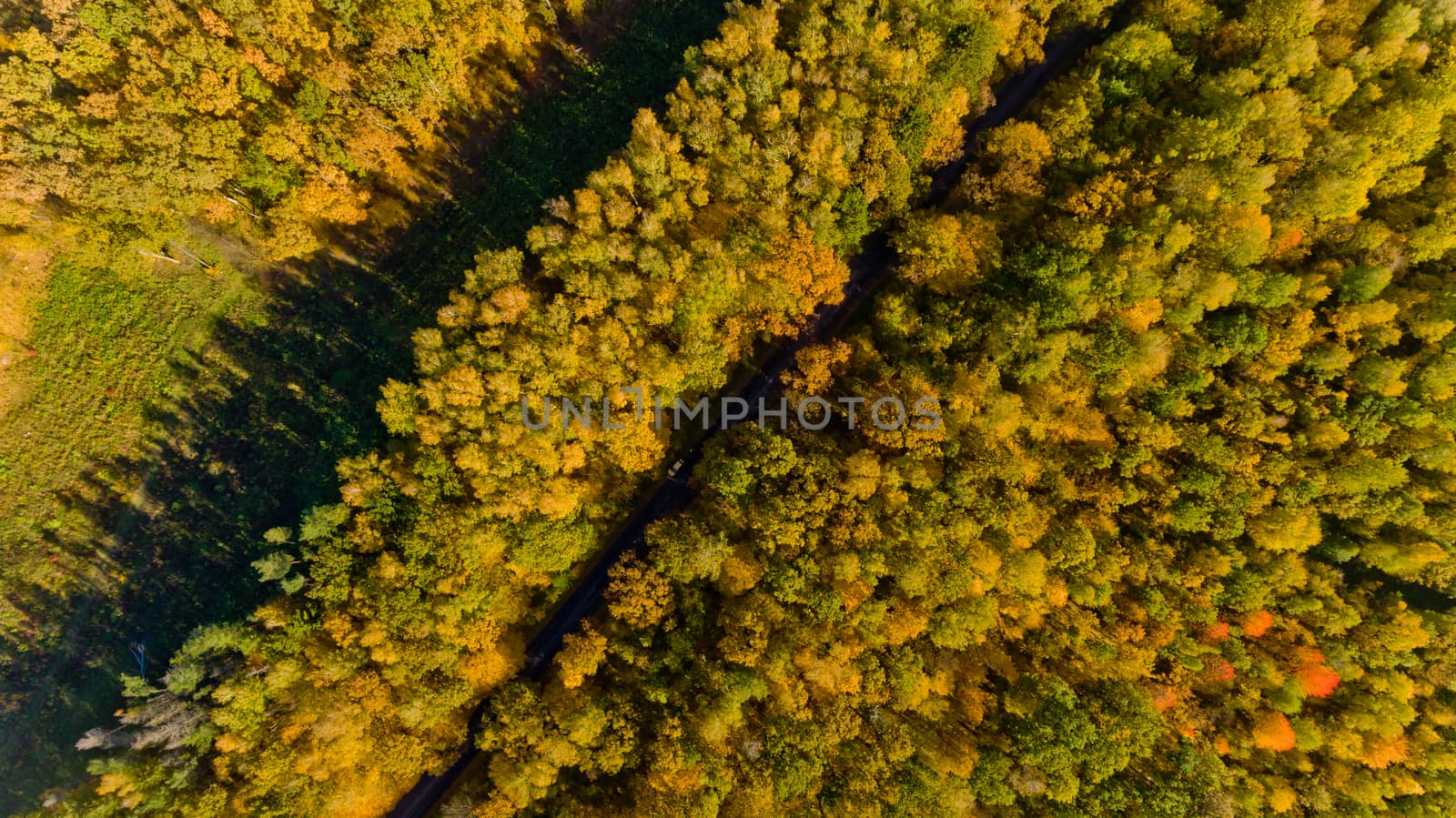 Top view of the colorful autumn forest.