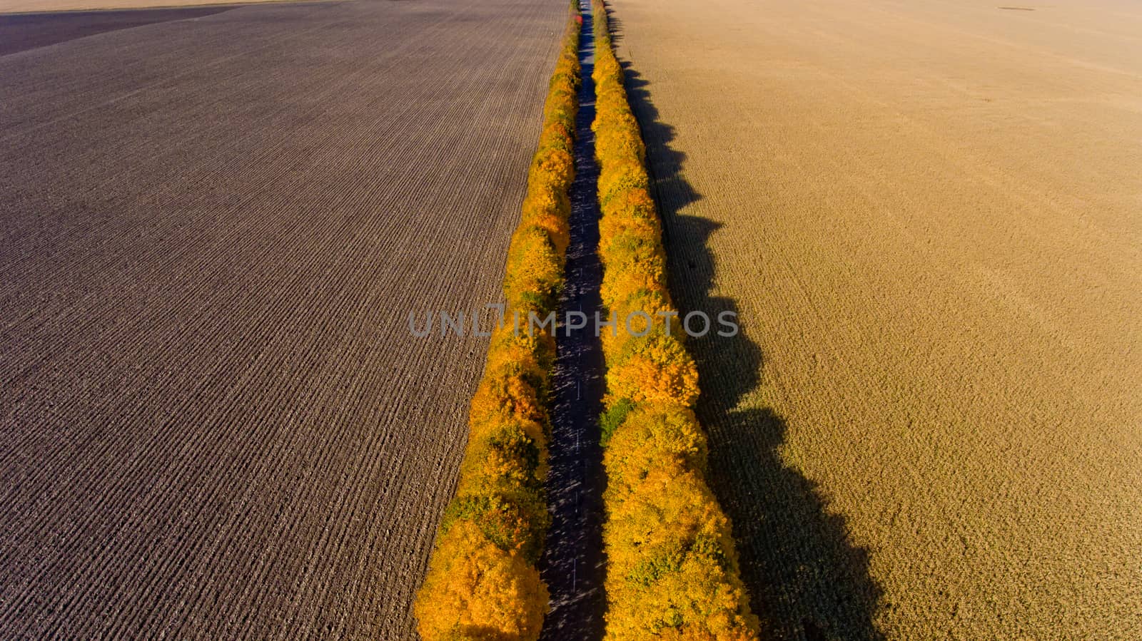 Aerial view of the autumn field road.