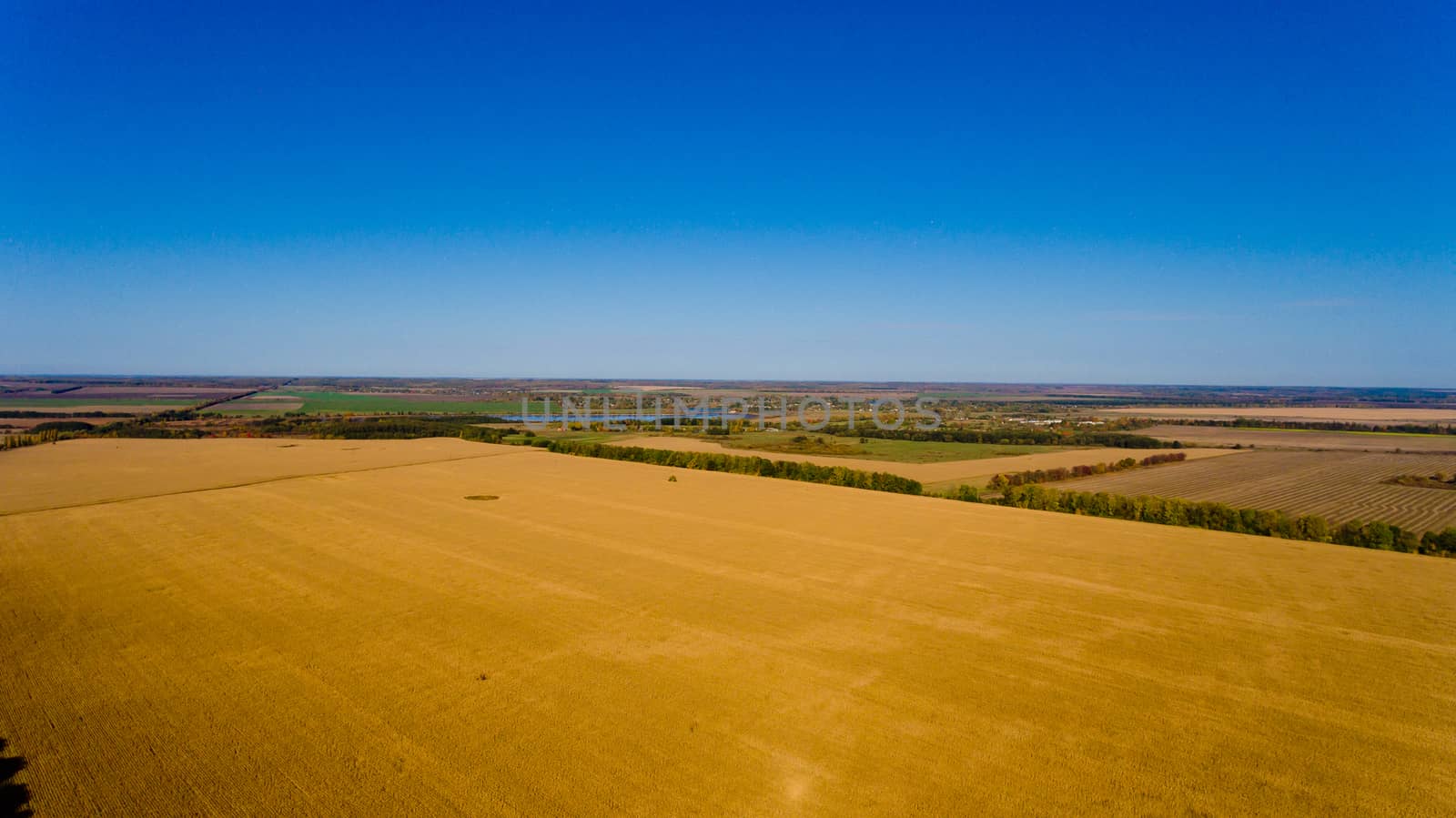 Autumn landscape: blue sky, colorful trees, yellow fields. Aerial view.