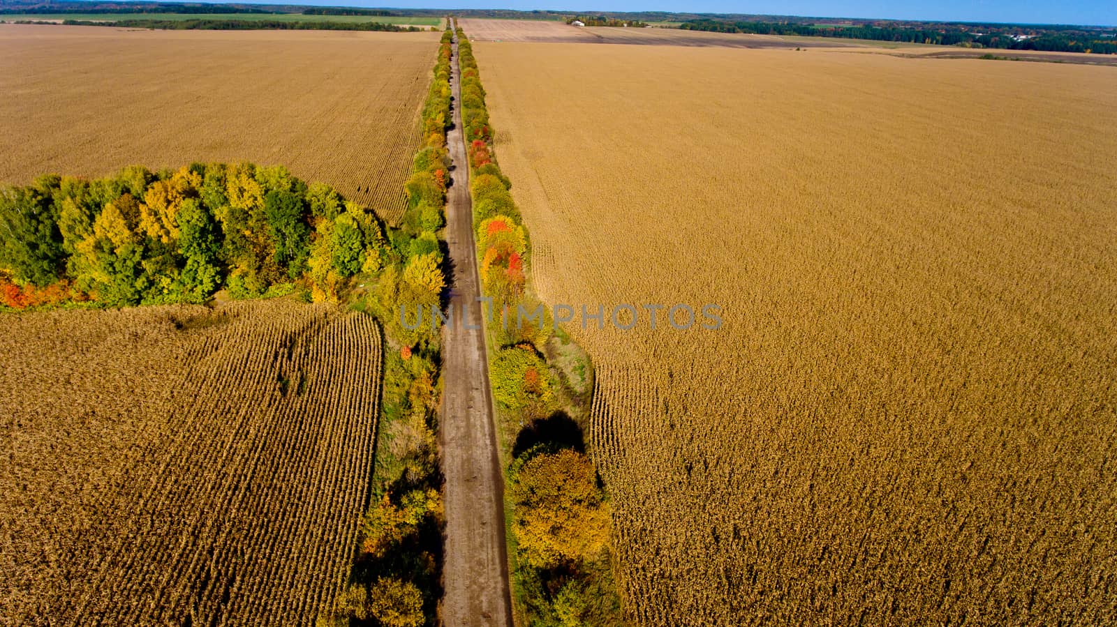 Aerial view of the field autumn road.