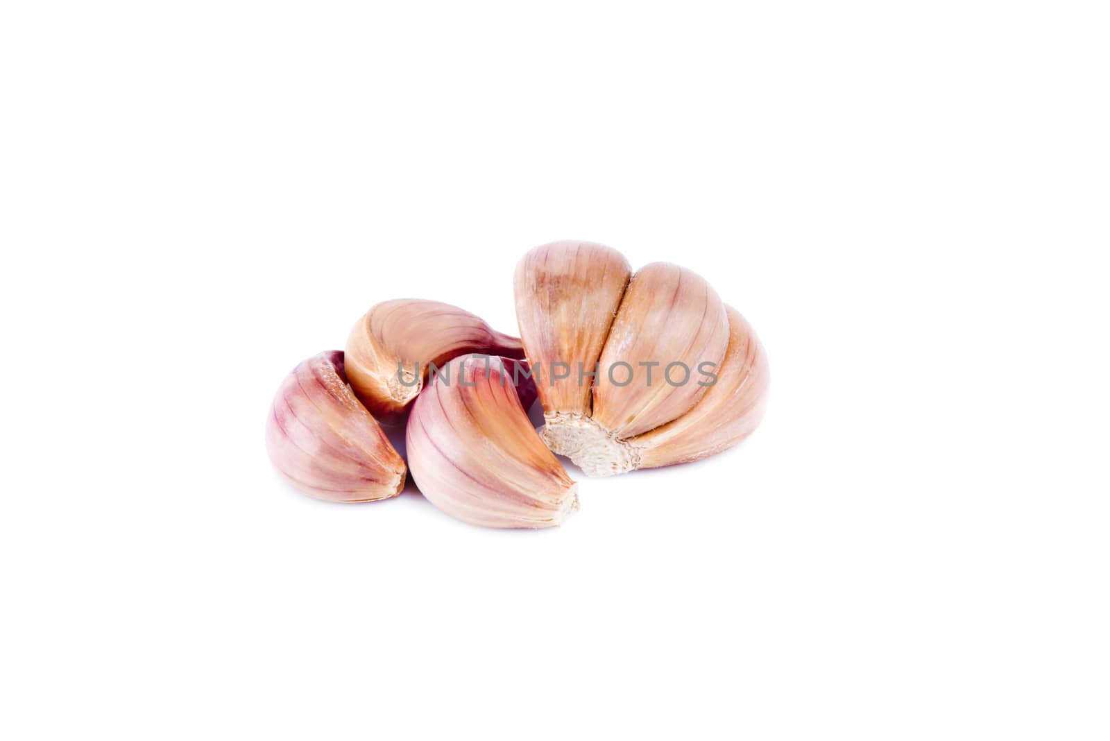 Garlic isolated on white background with reflection.