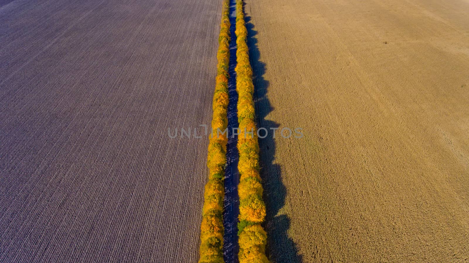 Pathway in the bright autumn. Top view.