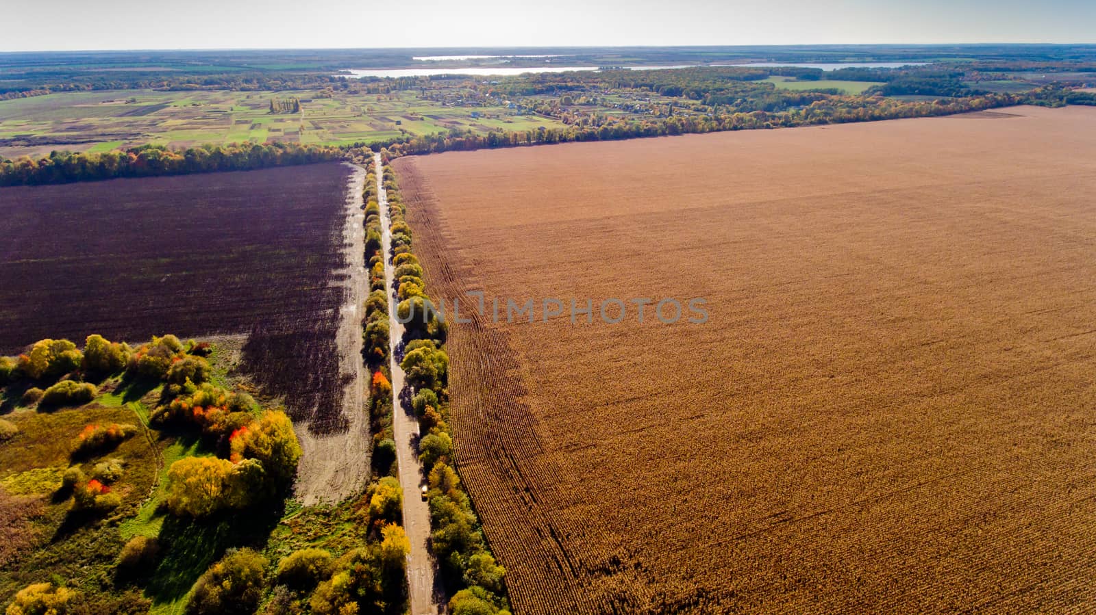 Aerial view of autumn fields.