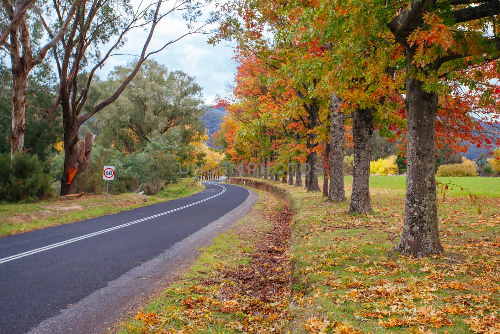 Khancoban in New South Wales Australia by FiledIMAGE