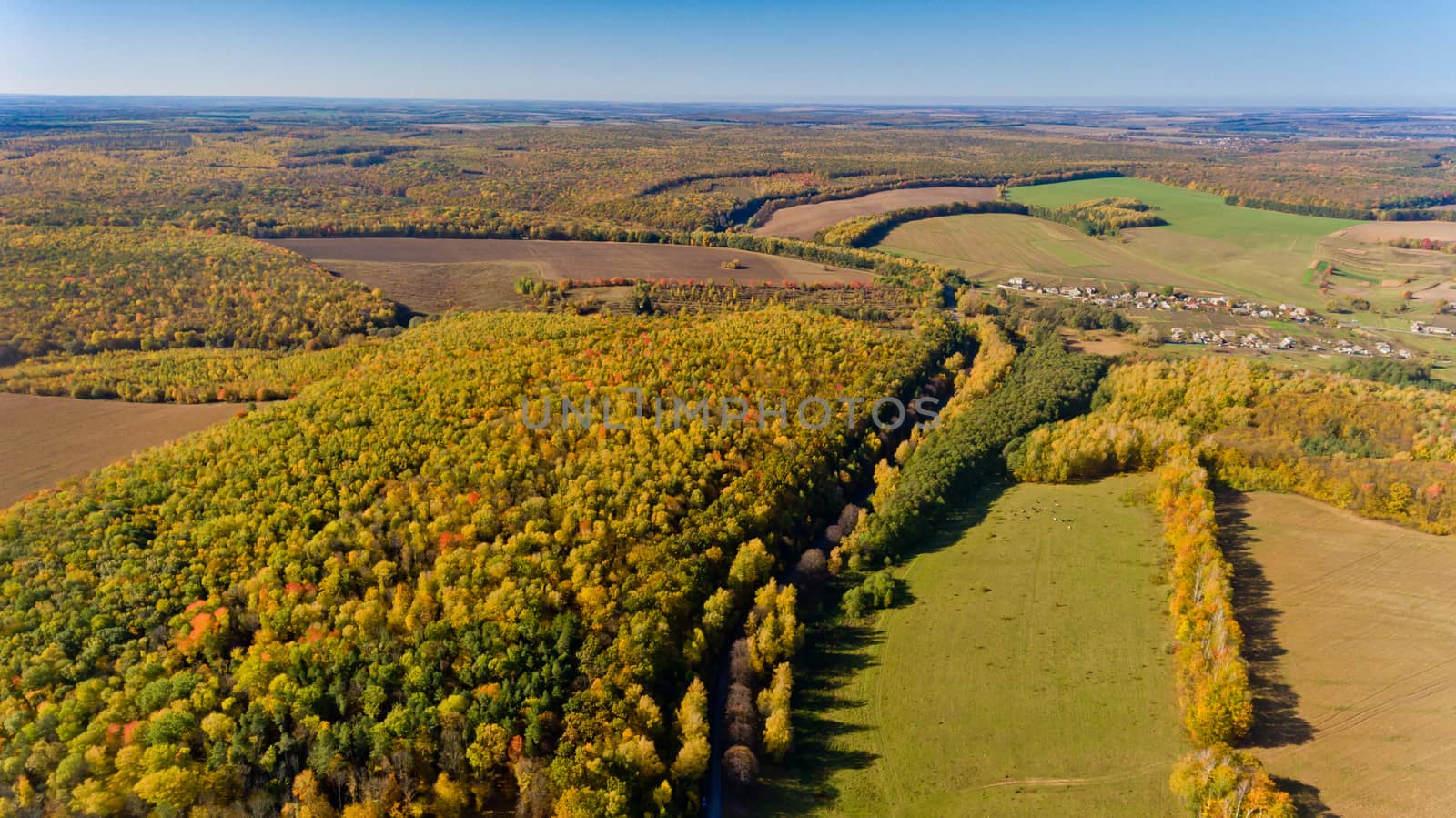 Aerial view of the colorful autumn forest and blue sky.
