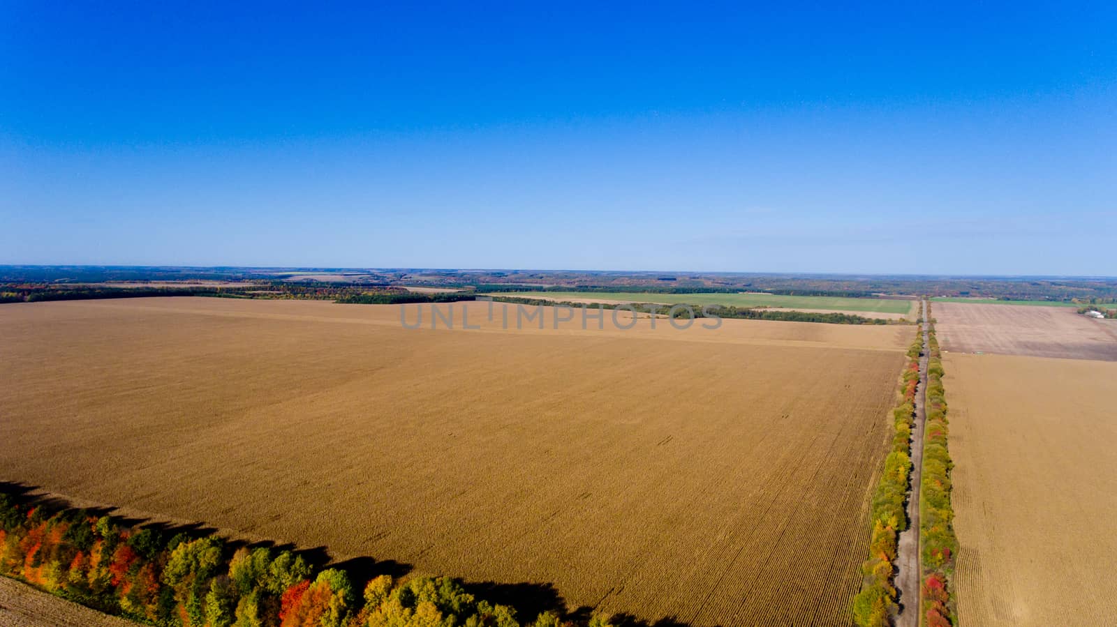 Aerial view of autumn fields.