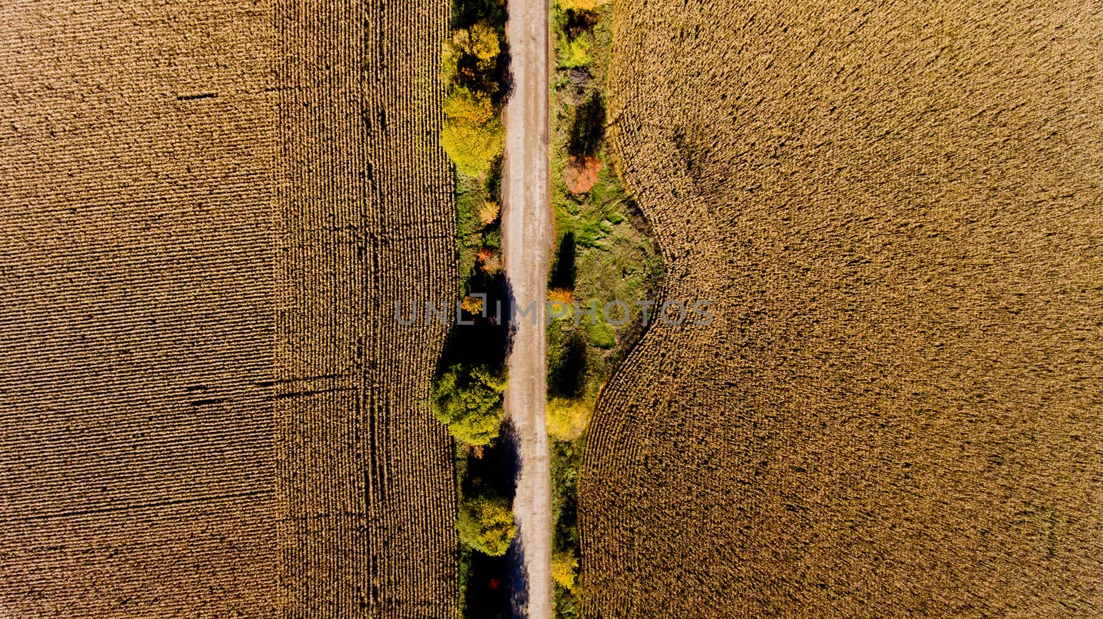 Top view of the field road.