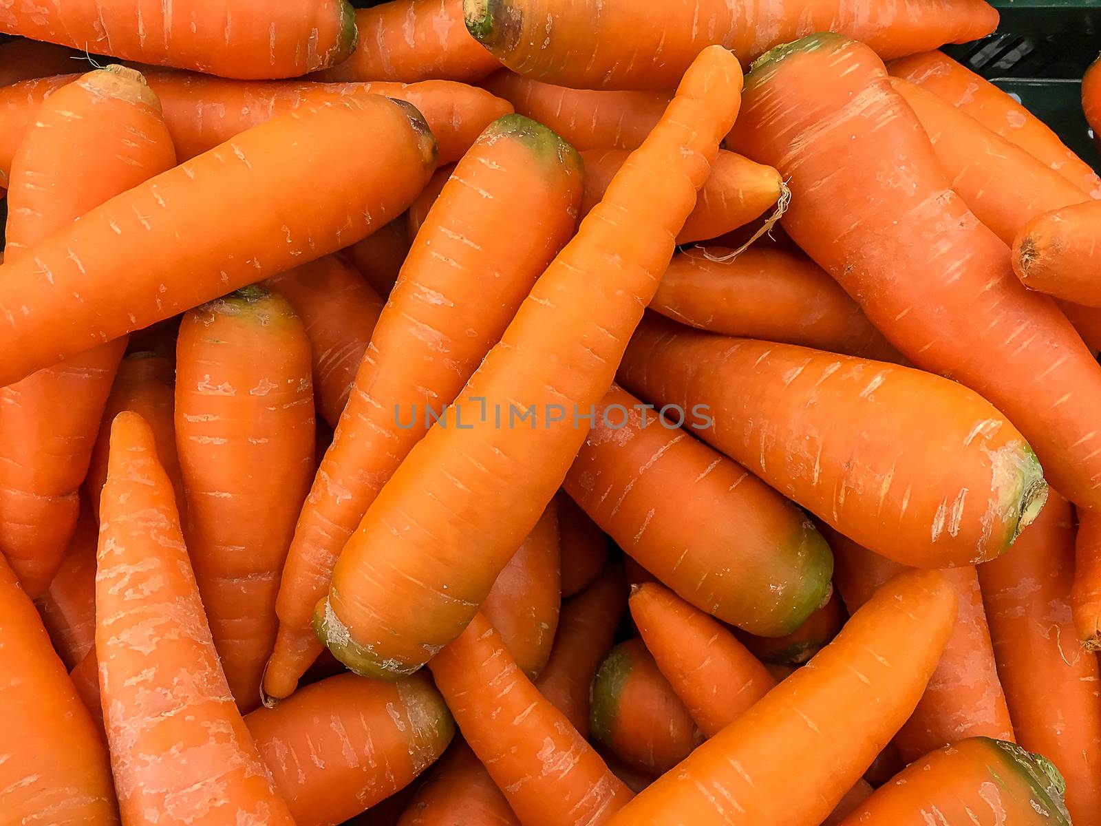 Carrots Background.