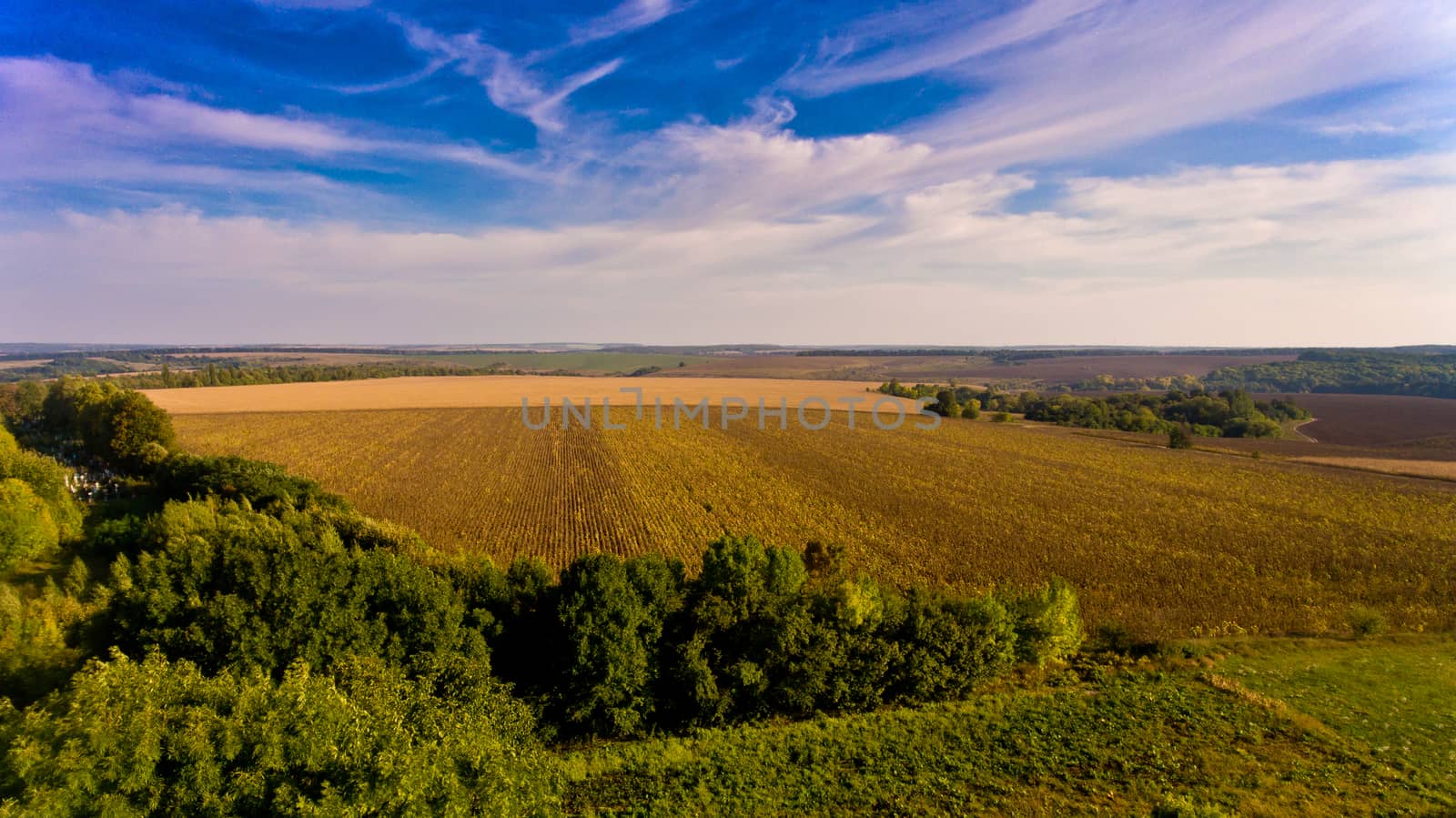 Beautiful view of agricultural fields and blue sky with white clouds. Aerial view. by leonik