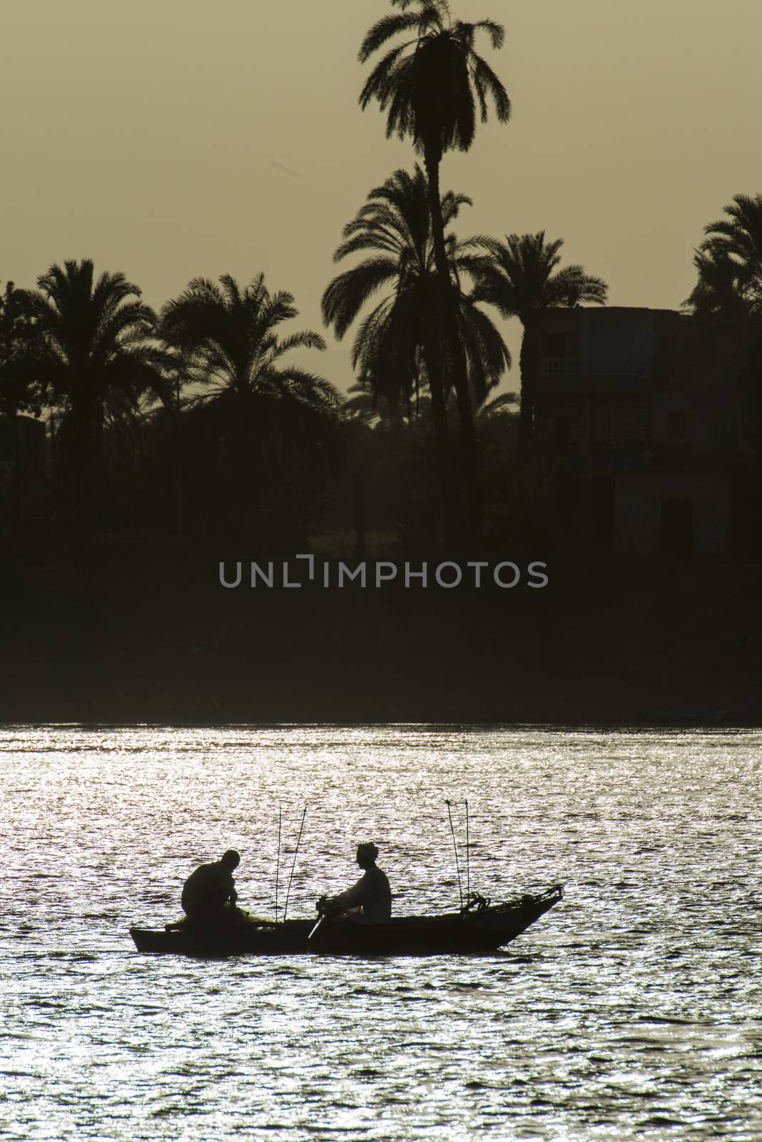 Silhouette of traditional egyptian bedouin fisherman in rowing boat on river Nile at dusk sunset