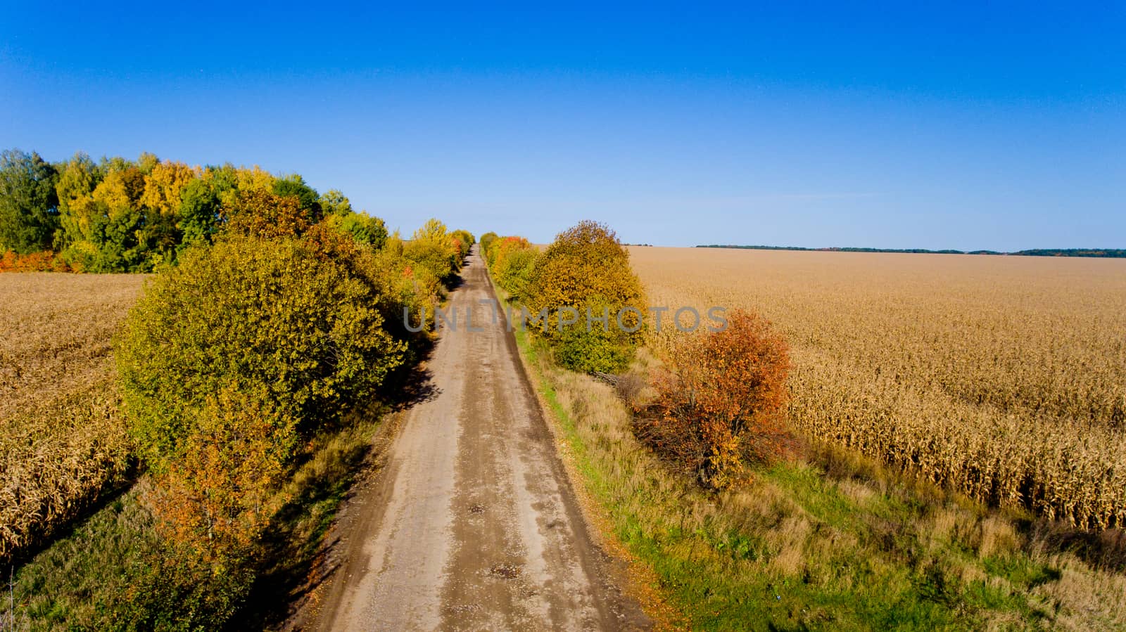 Aerial view of the field autumn road.