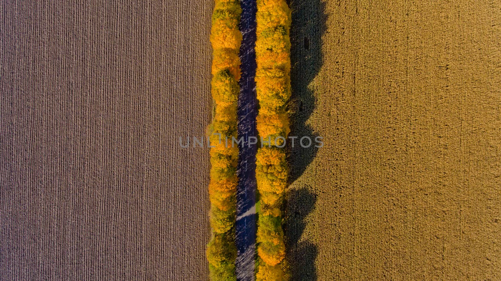 Pathway in the bright autumn. Top view.